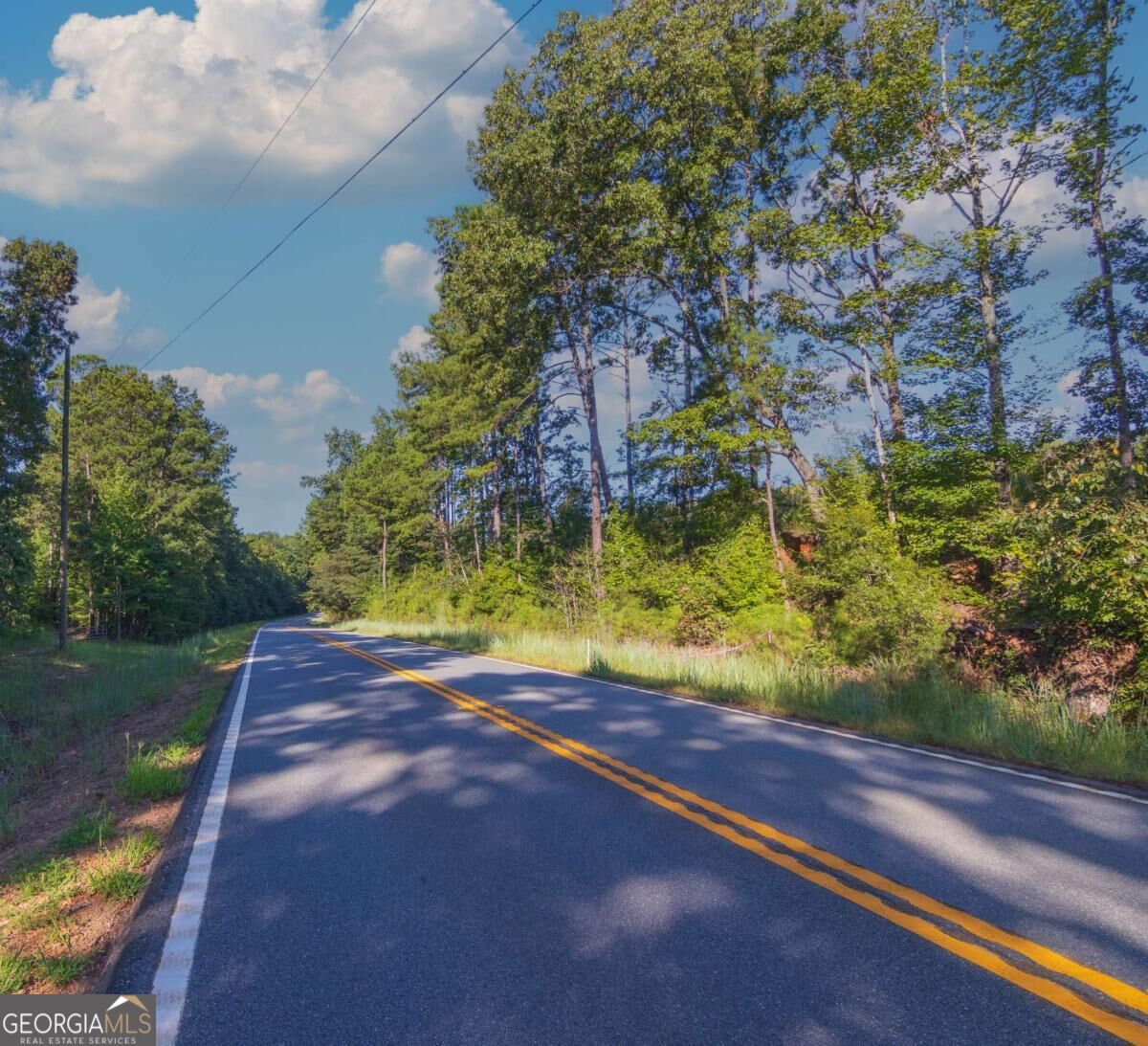 Tract 2 Highway 0036 Woodland GA 31836