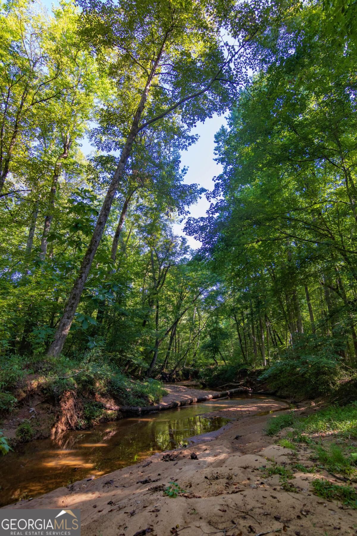 Tract 2 Highway 0036 Woodland GA 31836