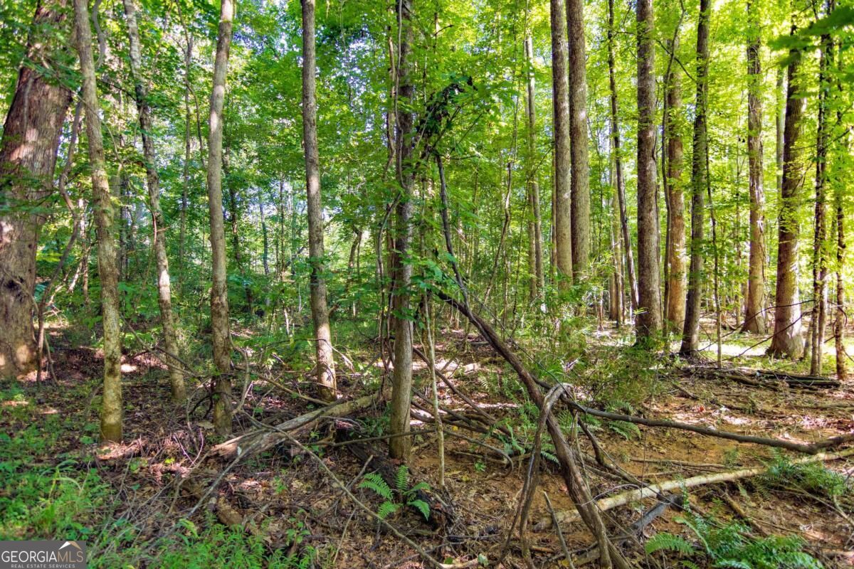 Tract 2 Highway 0036 Woodland GA 31836