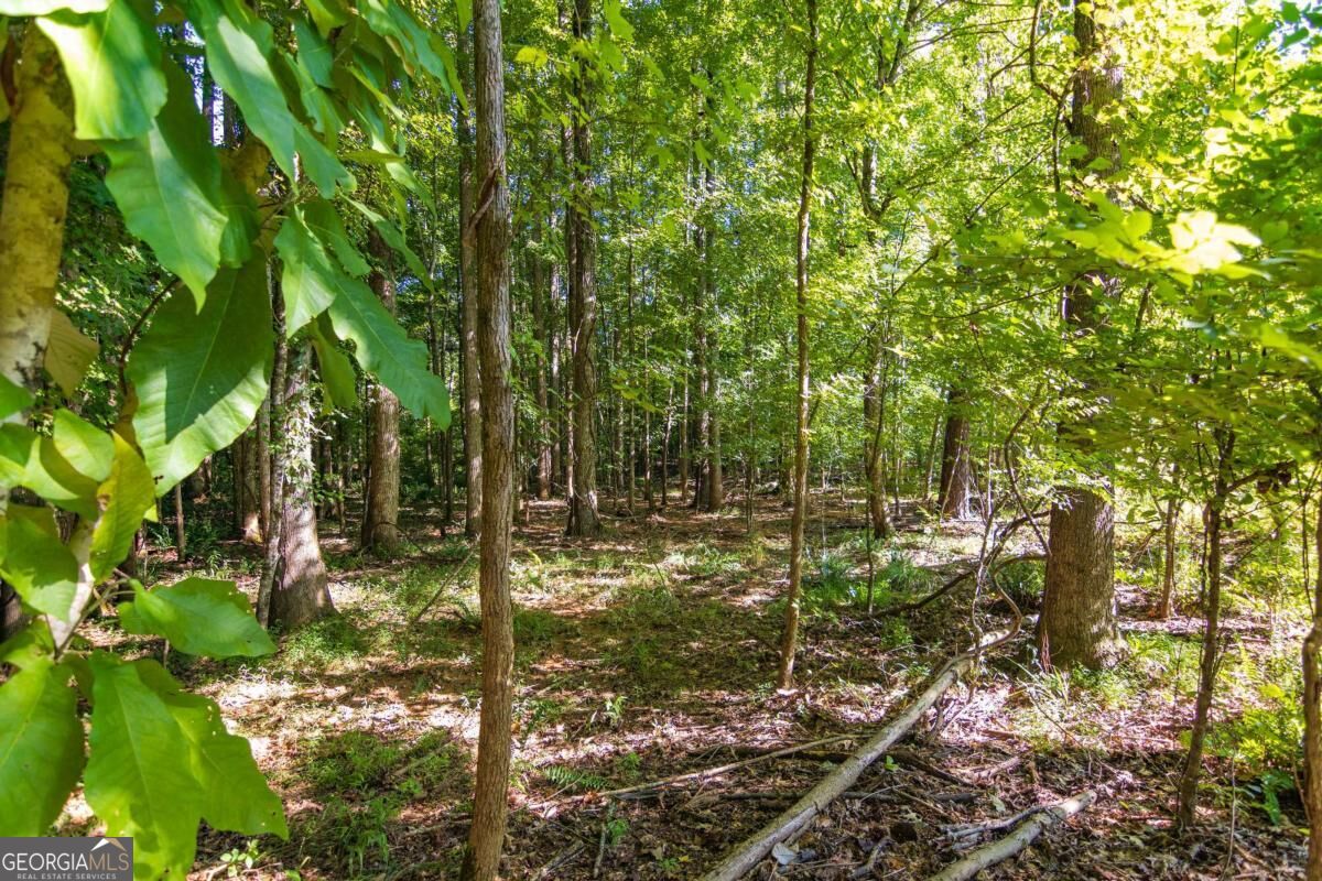 Tract 2 Highway 0036 Woodland GA 31836