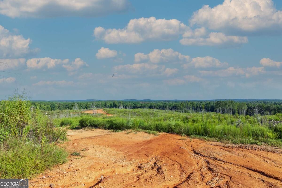 Tract 2 Highway 0036 Woodland GA 31836