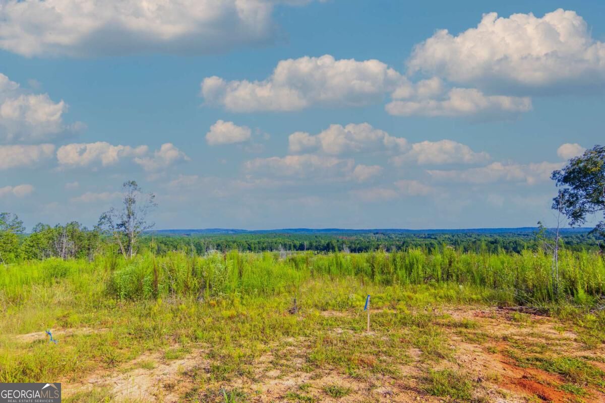 Tract 2 Highway 0036 Woodland GA 31836