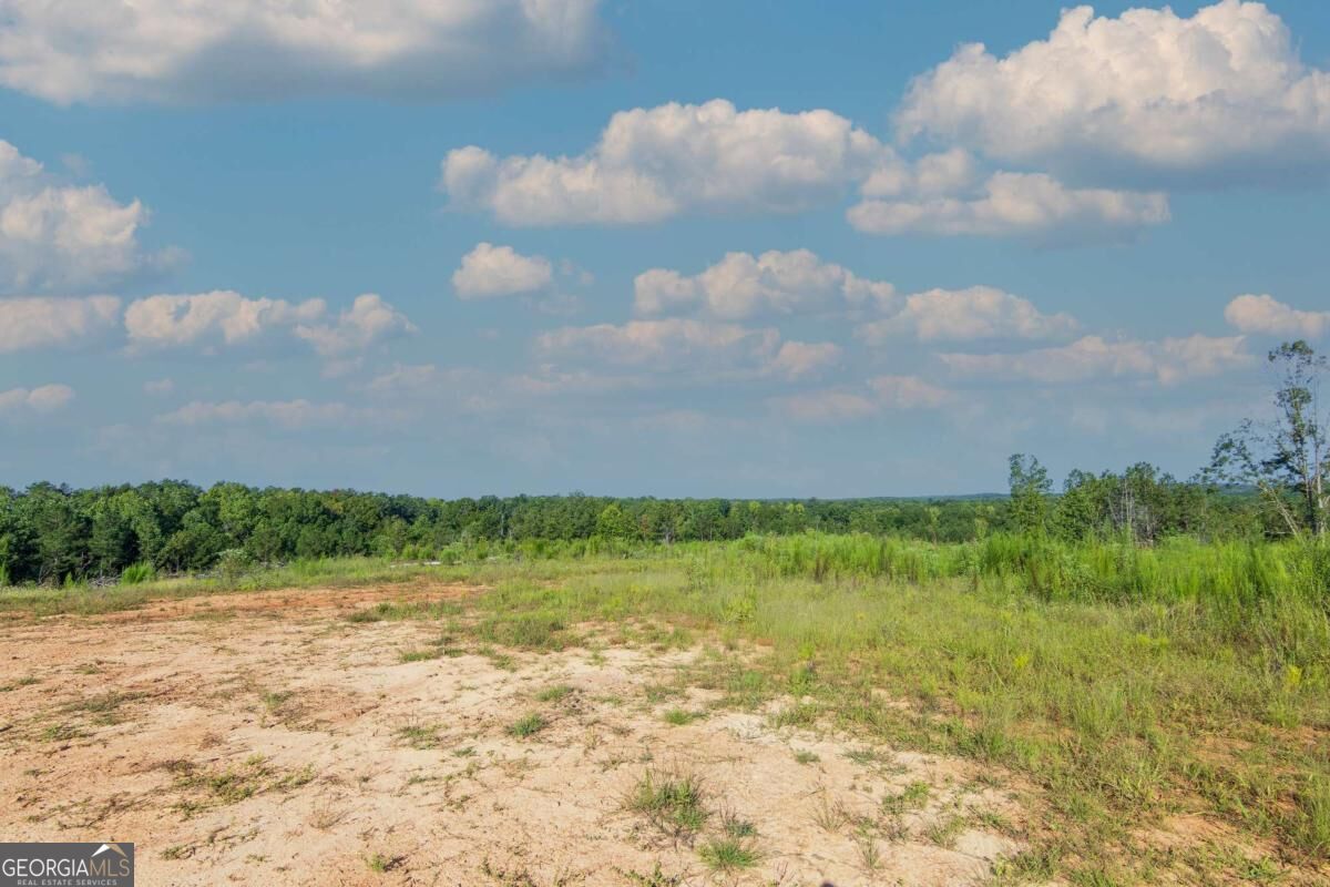 Tract 2 Highway 0036 Woodland GA 31836