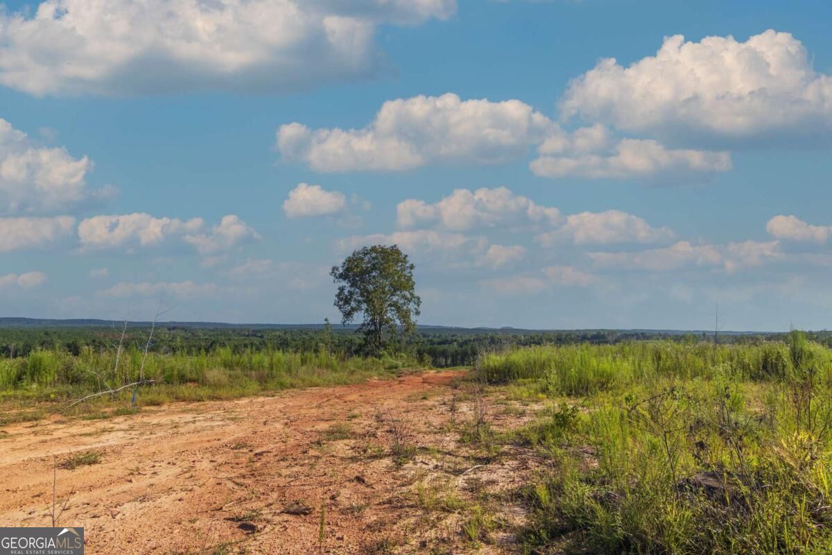 Tract 2 Highway 0036 Woodland GA 31836