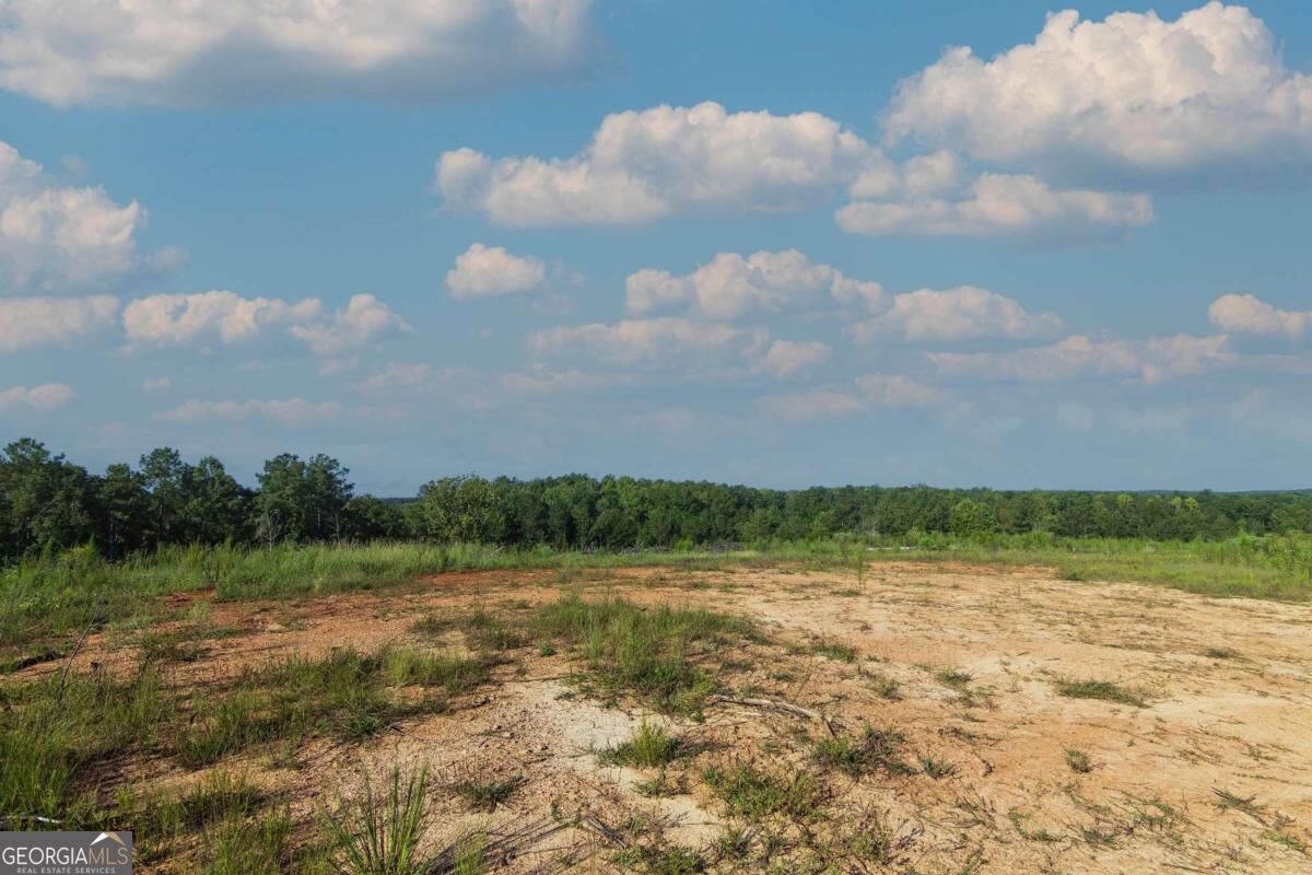 Tract 2 Highway 0036 Woodland GA 31836