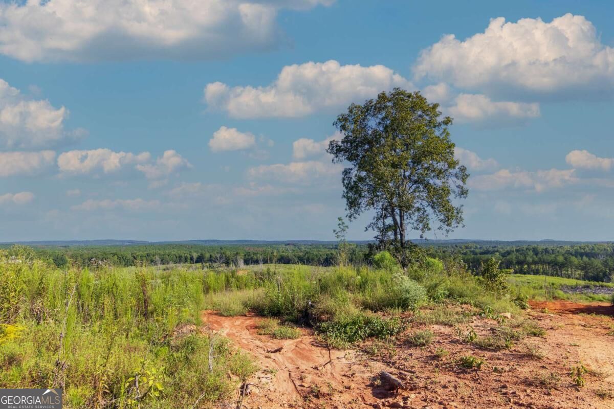 Tract 2 Highway 0036 Woodland GA 31836