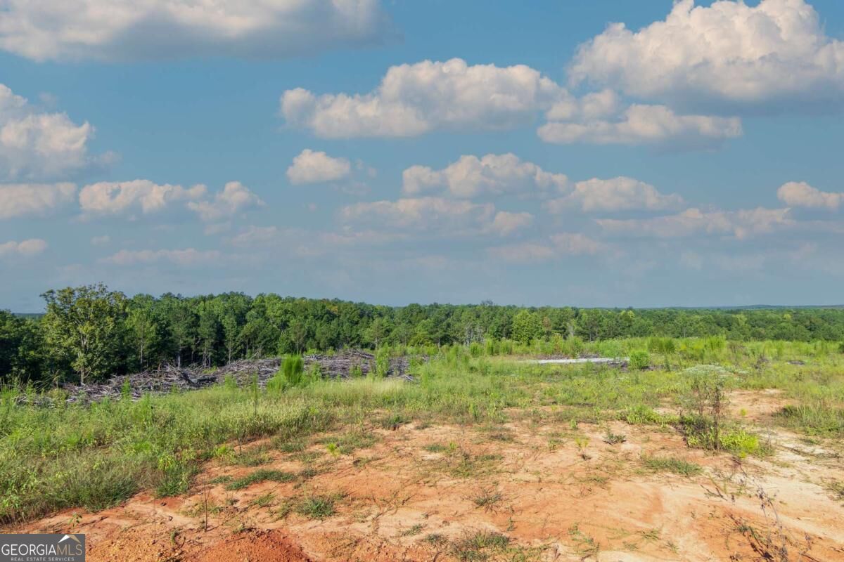 Tract 2 Highway 0036 Woodland GA 31836