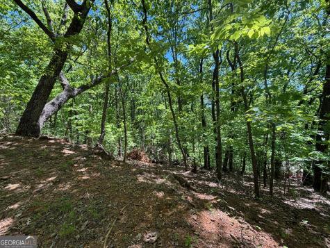 0 Lookout Ridge Road Cleveland GA 30528