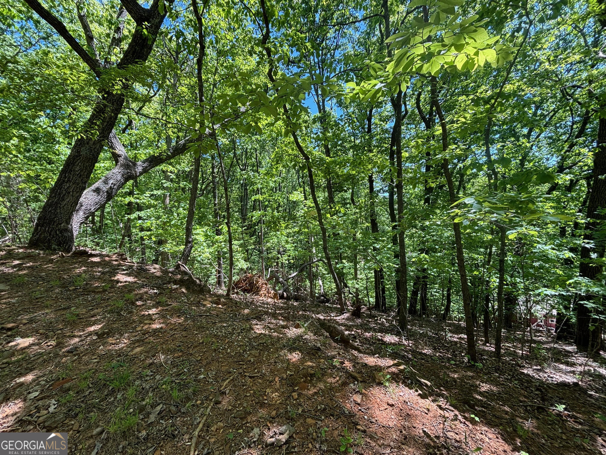 0 Lookout Ridge Road Cleveland GA 30528