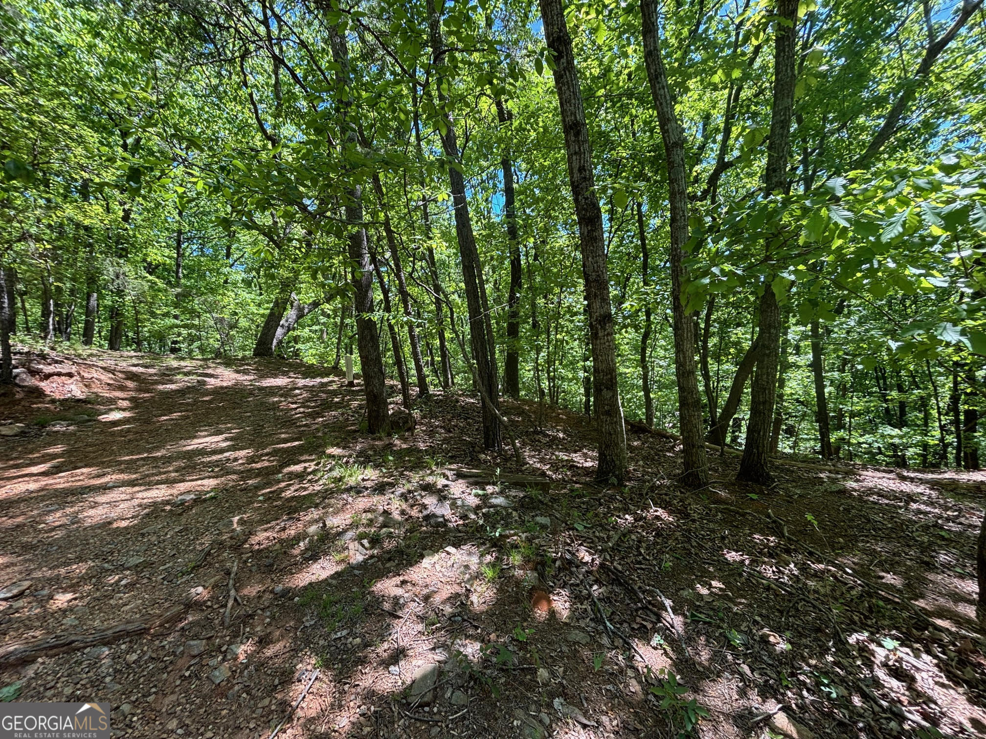 0 Lookout Ridge Road Cleveland GA 30528