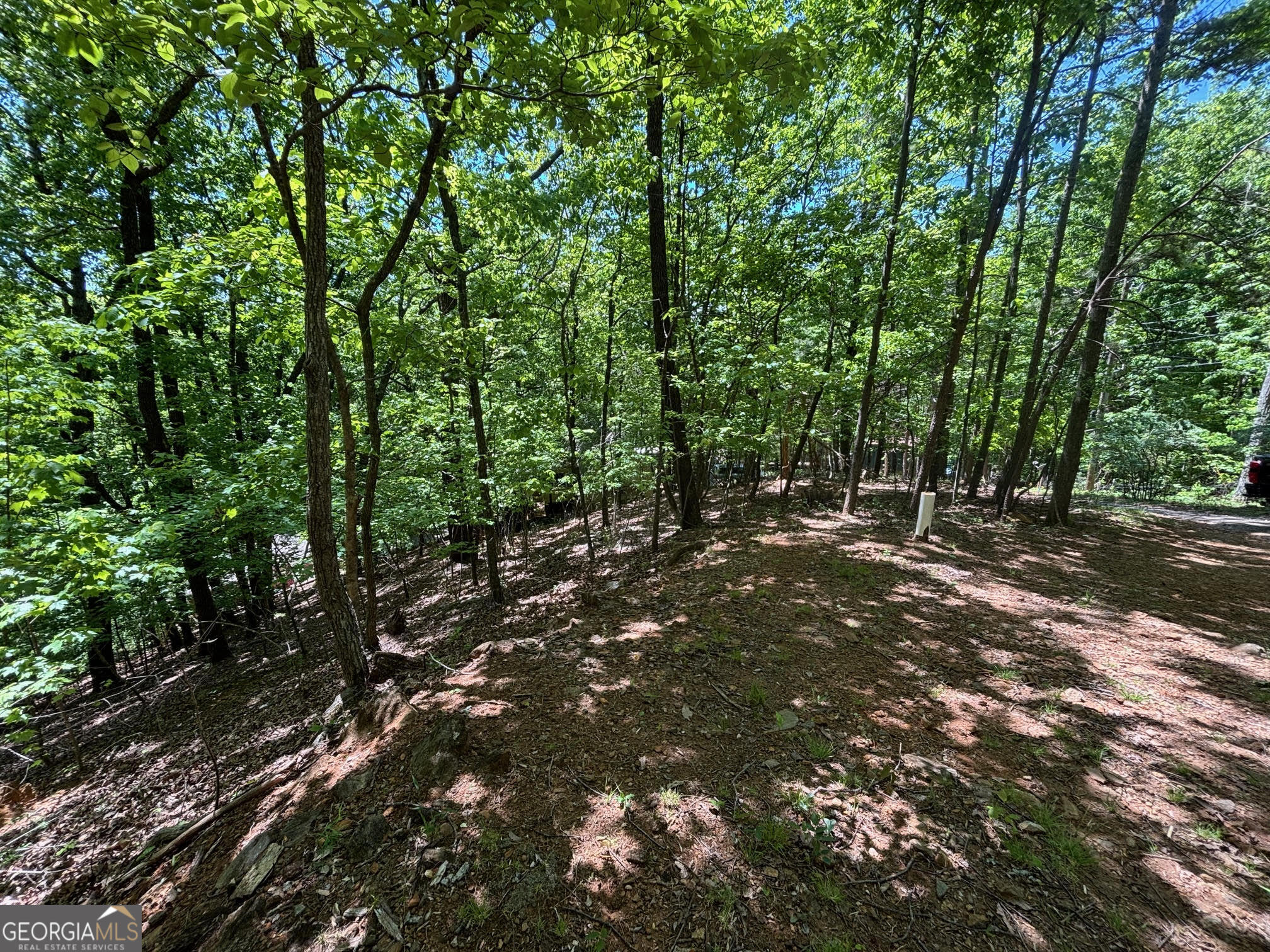 0 Lookout Ridge Road Cleveland GA 30528
