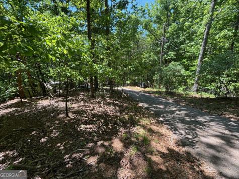 0 Lookout Ridge Road Cleveland GA 30528