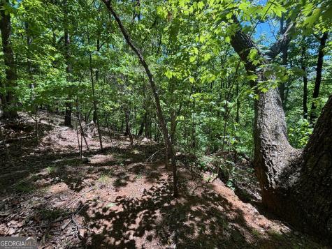0 Lookout Ridge Road Cleveland GA 30528