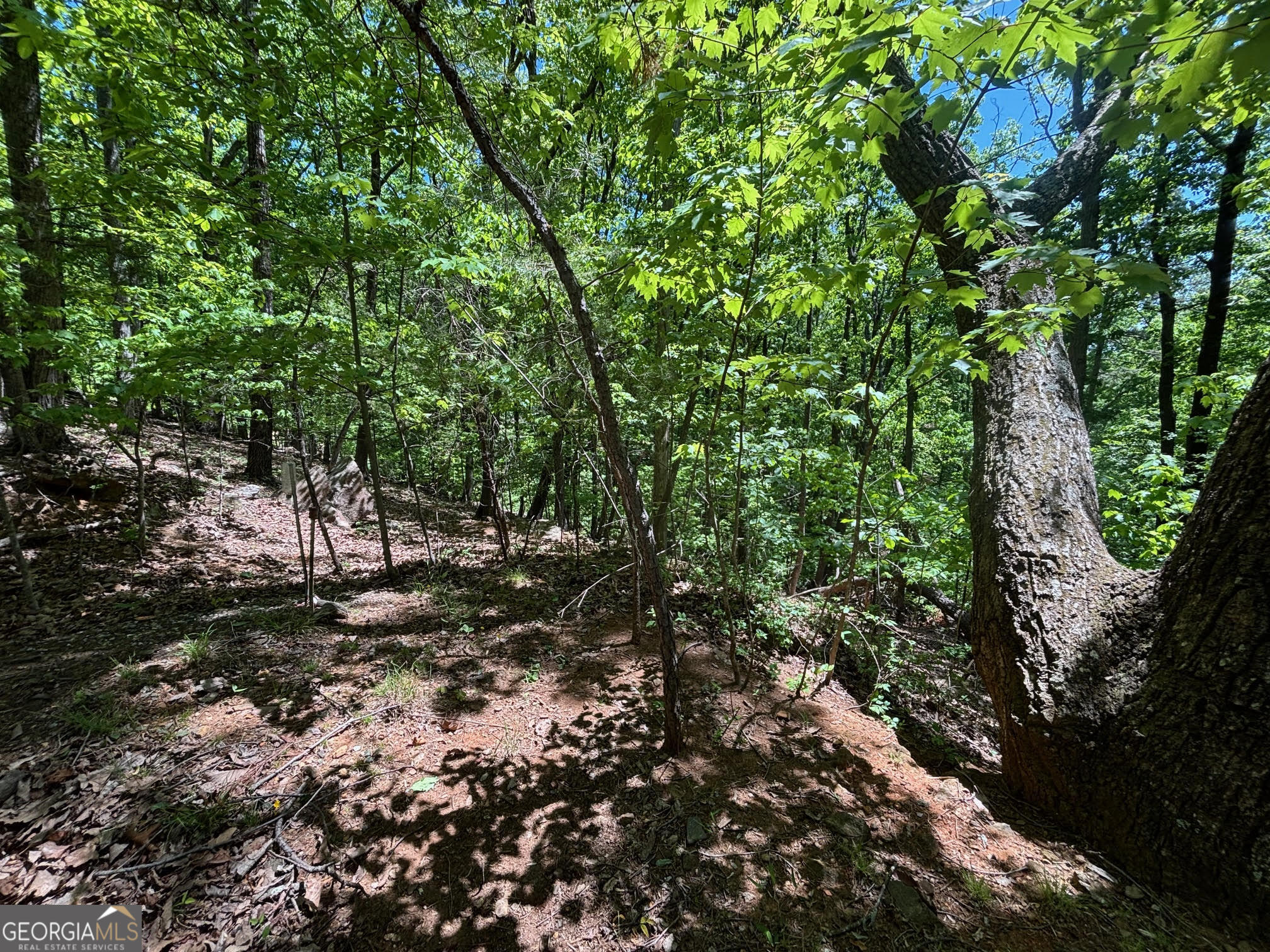 0 Lookout Ridge Road Cleveland GA 30528
