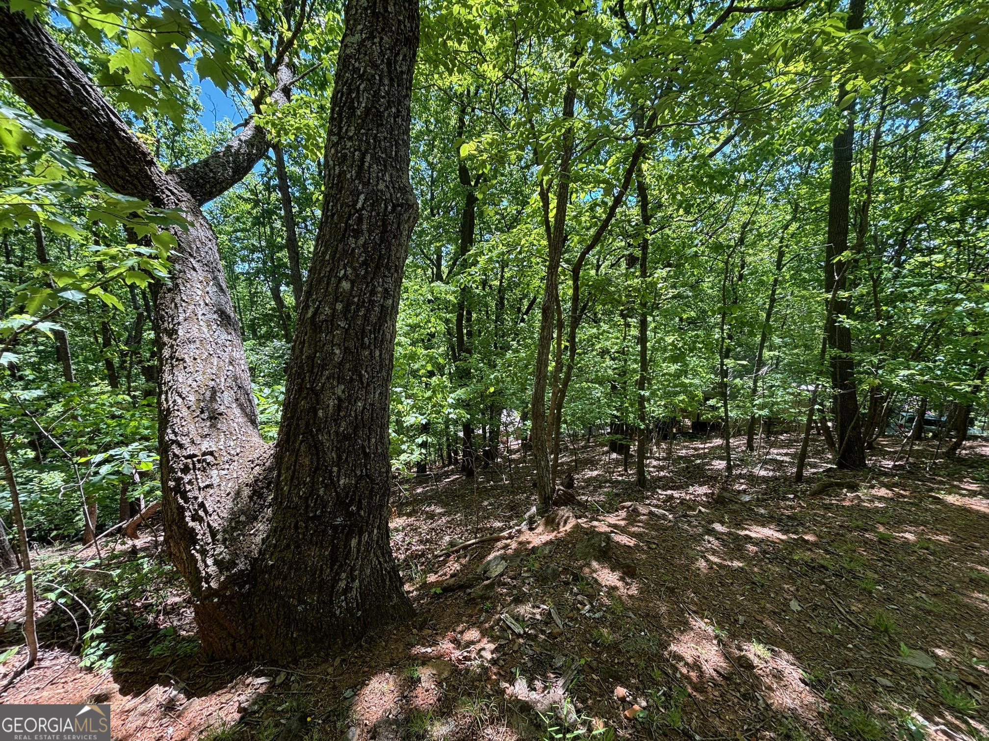 0 Lookout Ridge Road Cleveland GA 30528