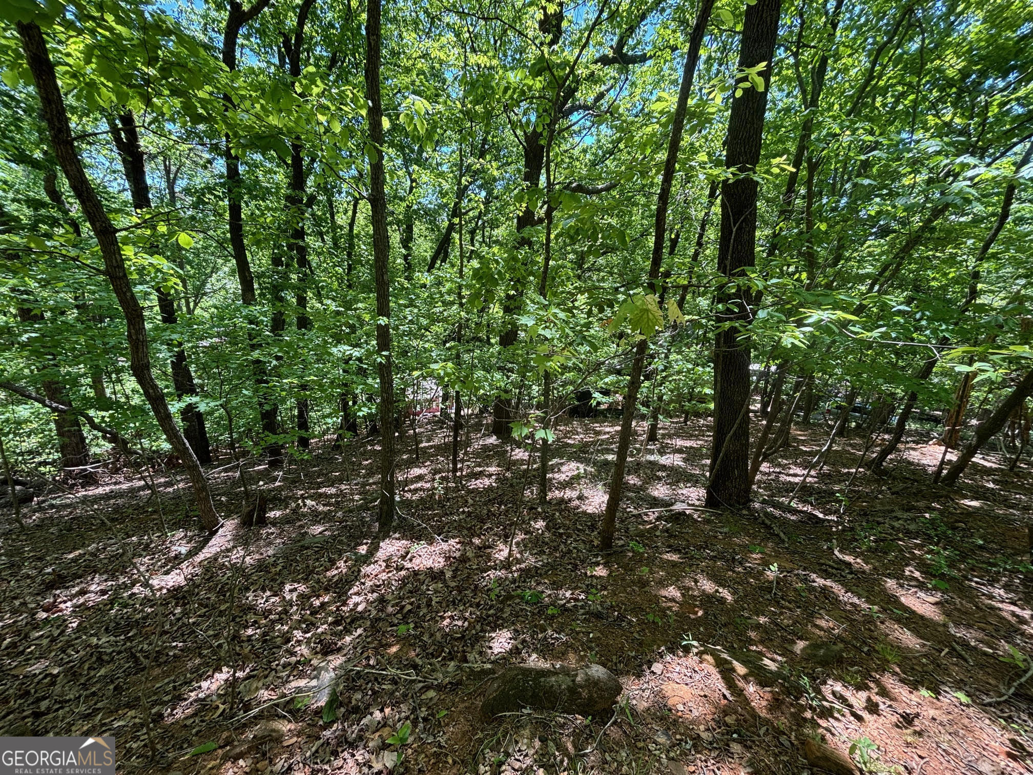 0 Lookout Ridge Road Cleveland GA 30528