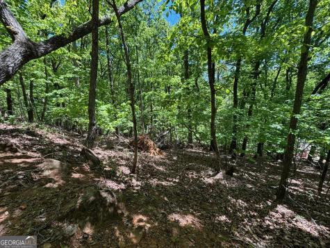 0 Lookout Ridge Road Cleveland GA 30528
