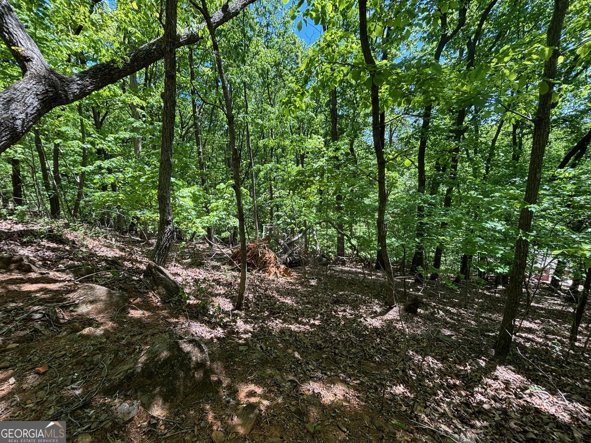 0 Lookout Ridge Road Cleveland GA 30528
