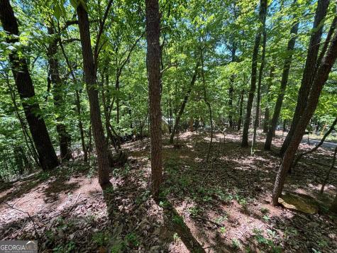 0 Lookout Ridge Road Cleveland GA 30528