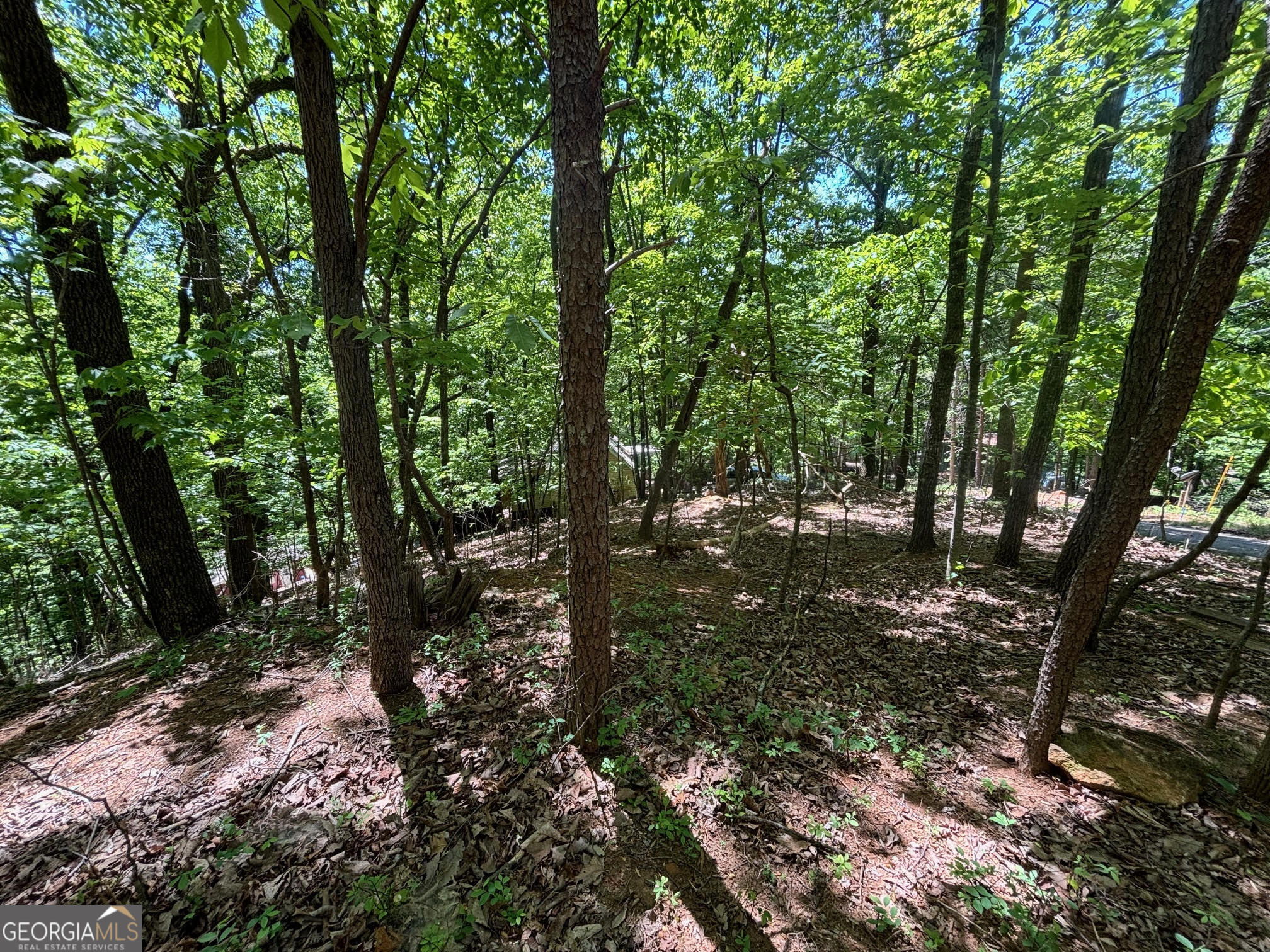 0 Lookout Ridge Road Cleveland GA 30528