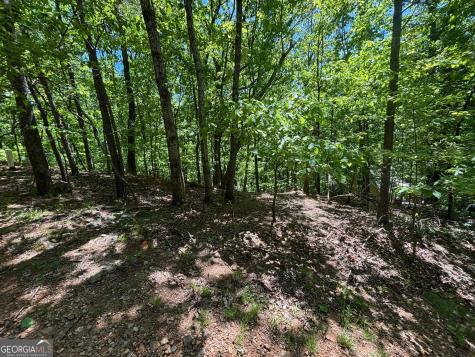 0 Lookout Ridge Road Cleveland GA 30528