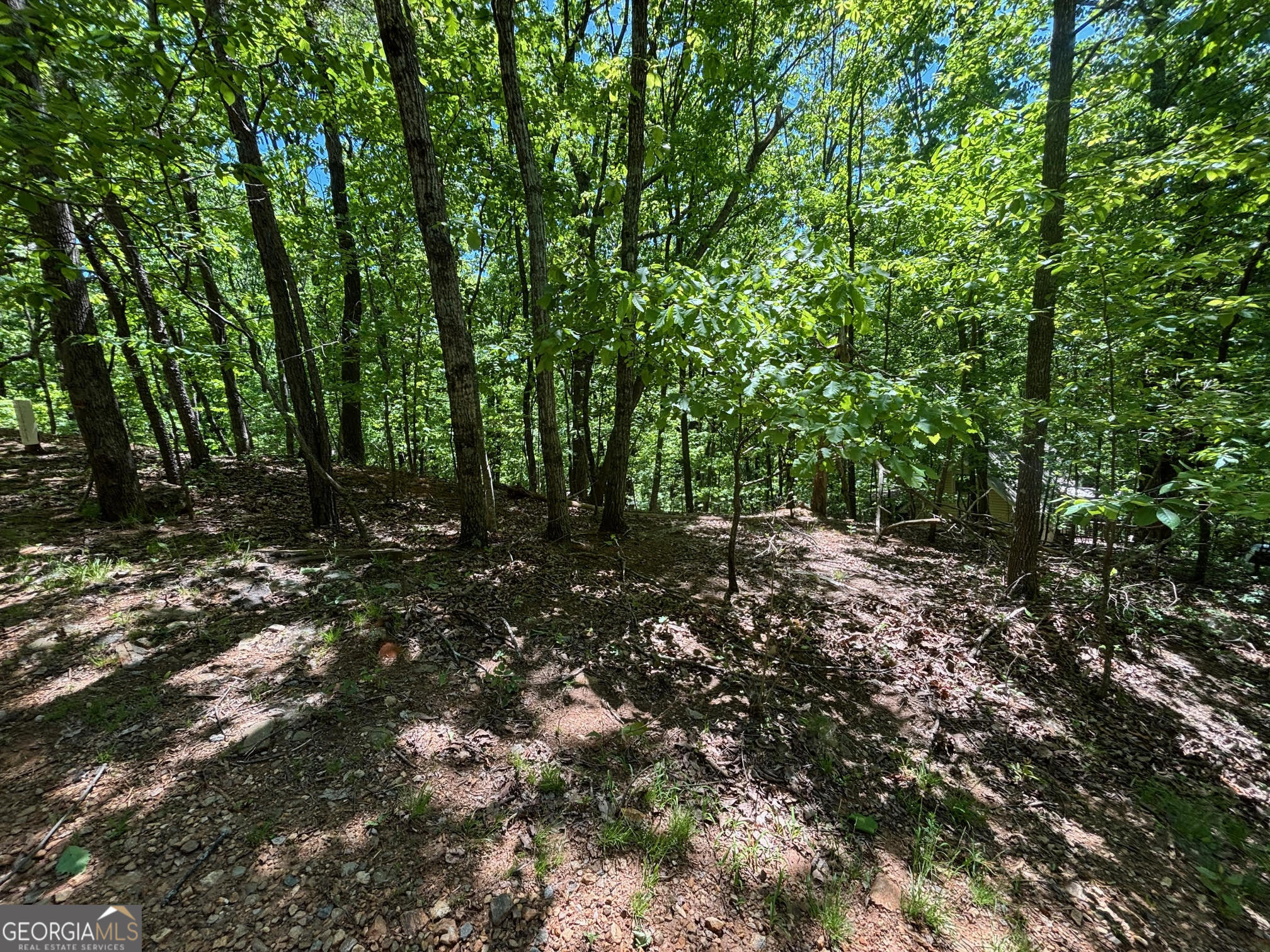 0 Lookout Ridge Road Cleveland GA 30528