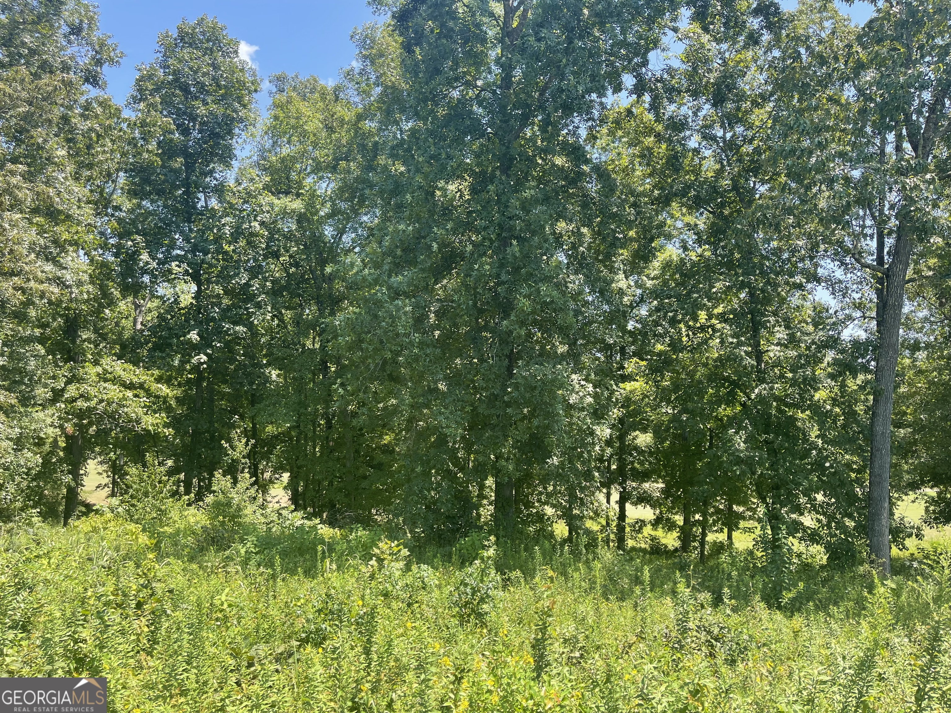 Lot 11 Oak Drive Hawkinsville GA 31036