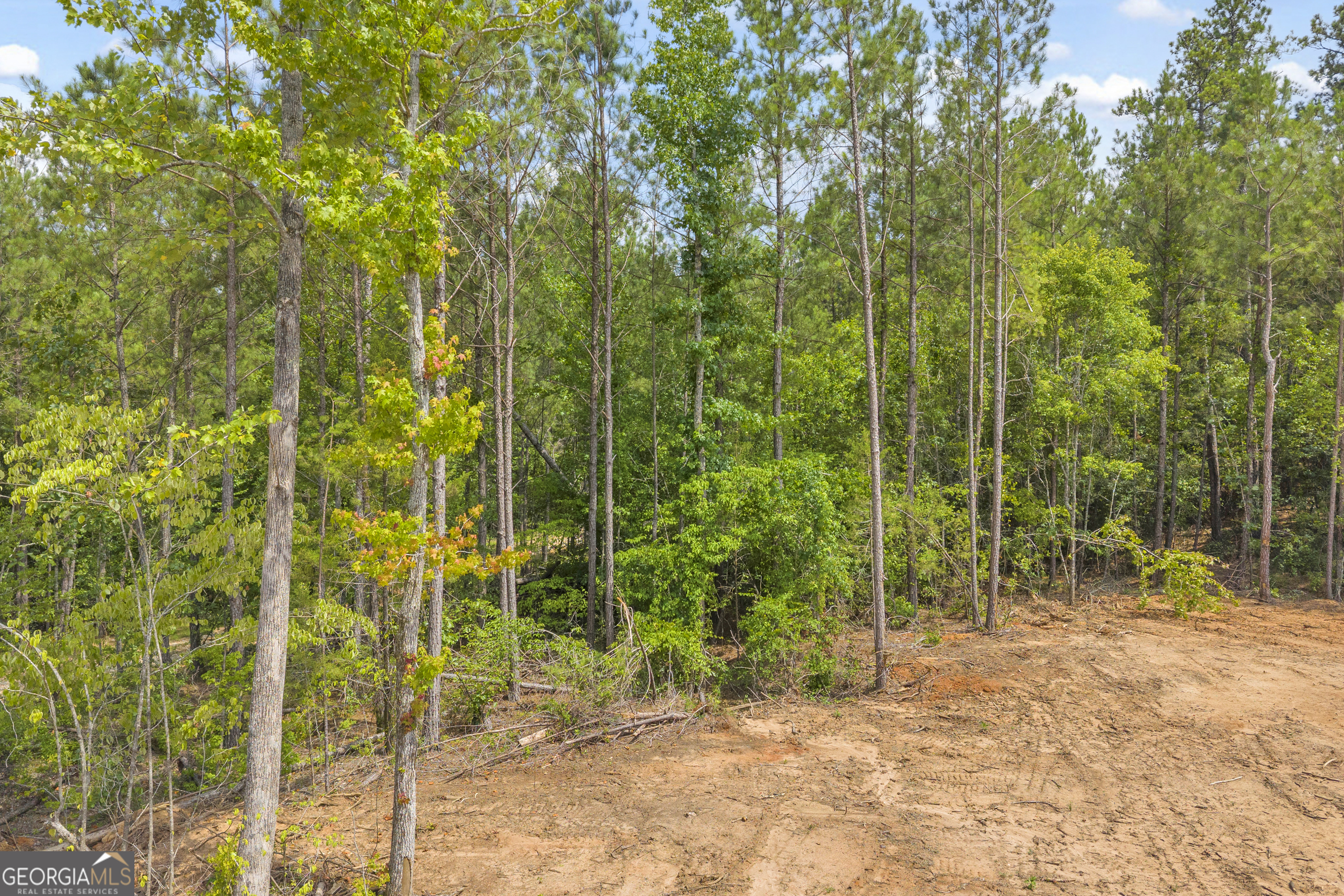 Lot 5 Mill Street Elberton GA 30635