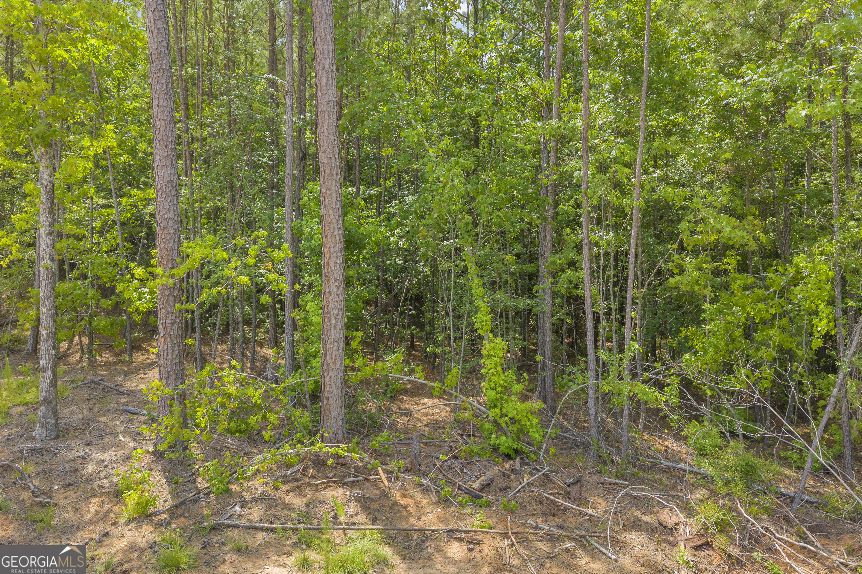 Lot 5 Mill Street Elberton GA 30635