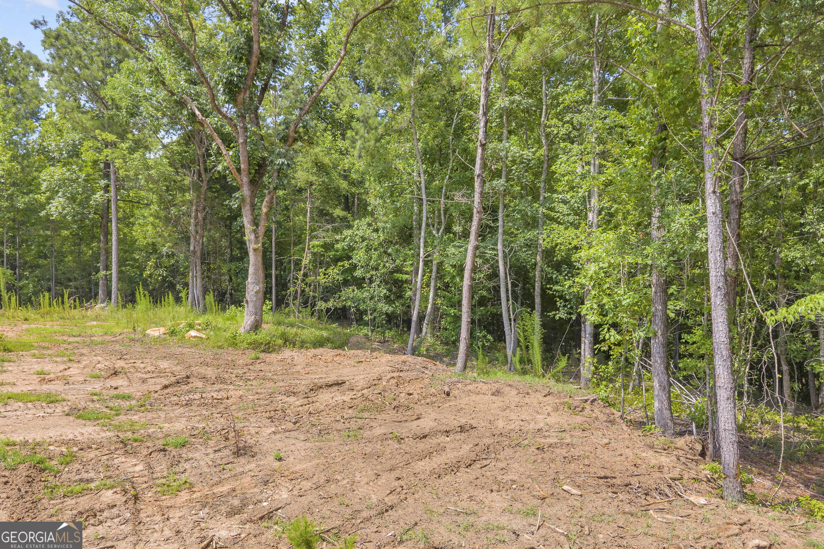 Lot 5 Mill Street Elberton GA 30635