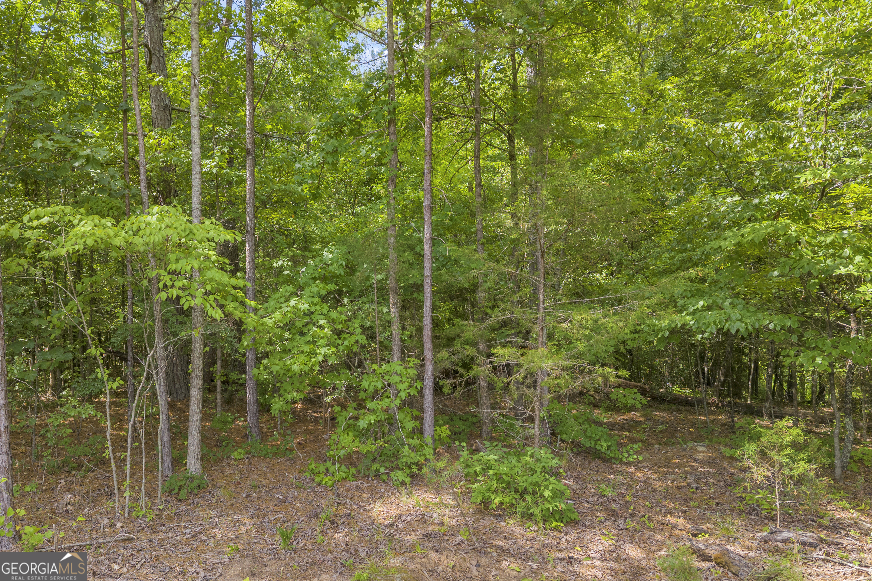 Lot 5 Mill Street Elberton GA 30635