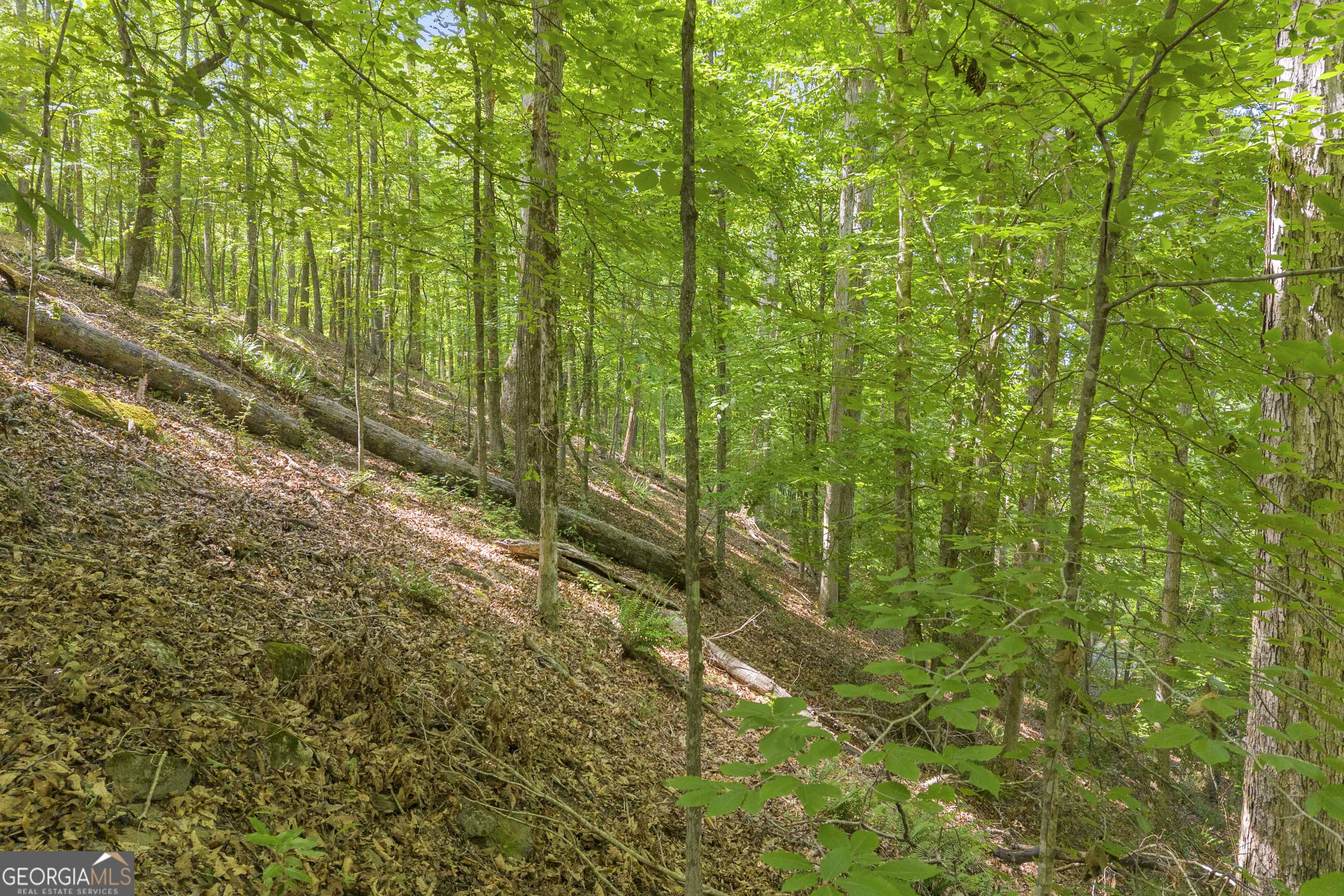Lot 5 Mill Street Elberton GA 30635
