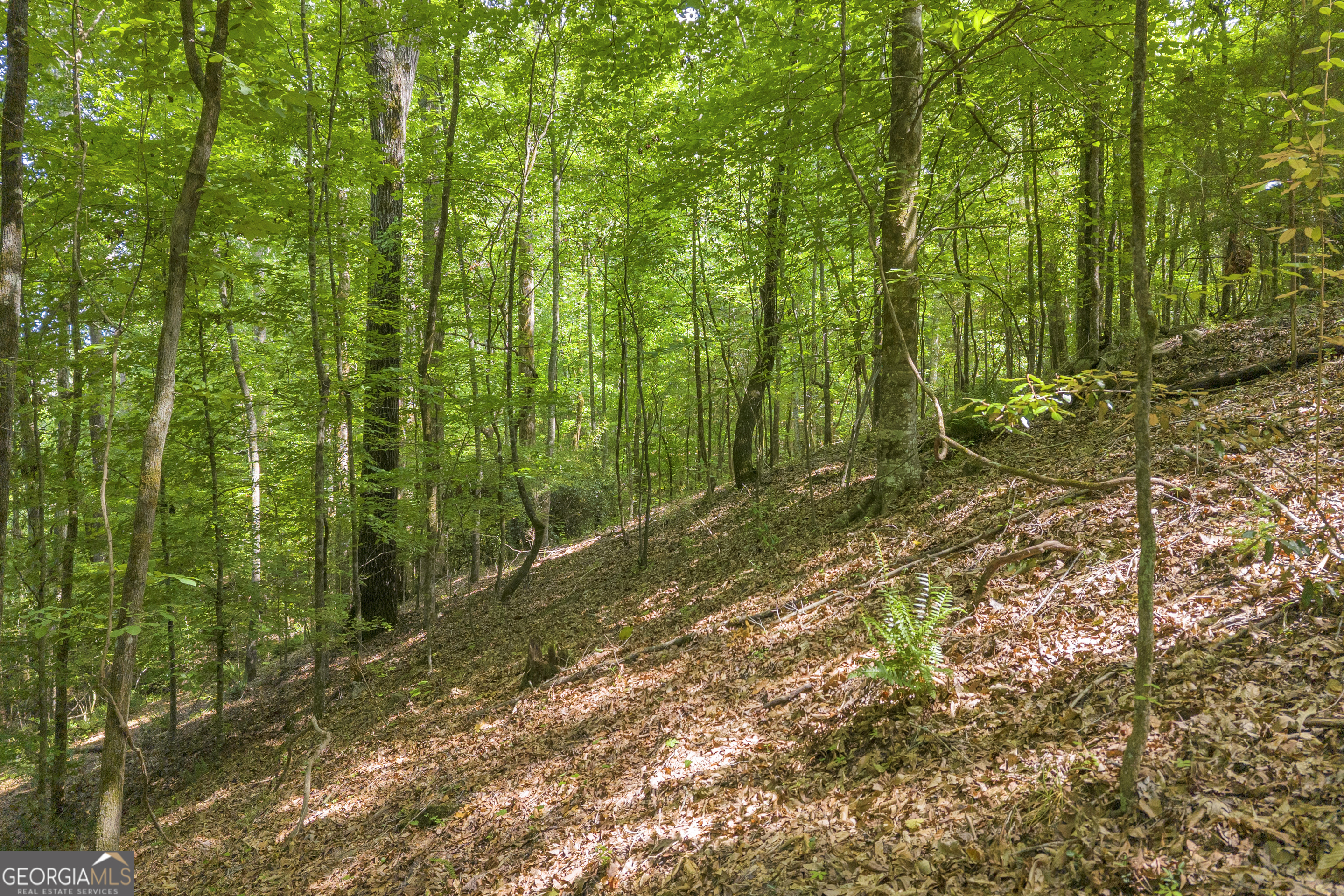 Lot 5 Mill Street Elberton GA 30635