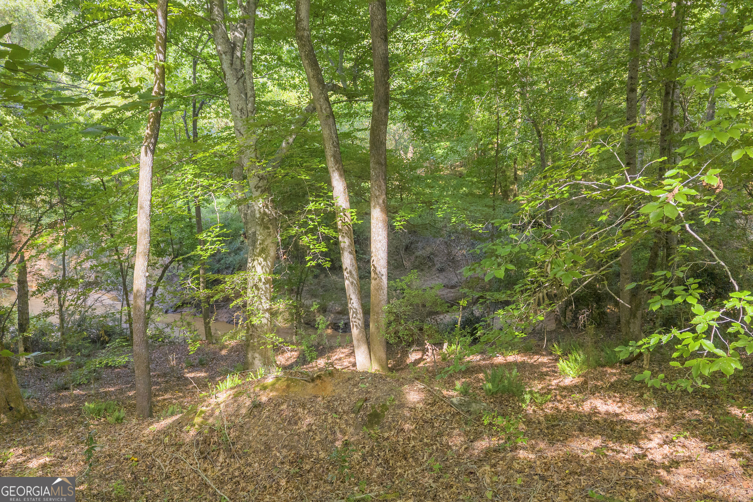 Lot 5 Mill Street Elberton GA 30635