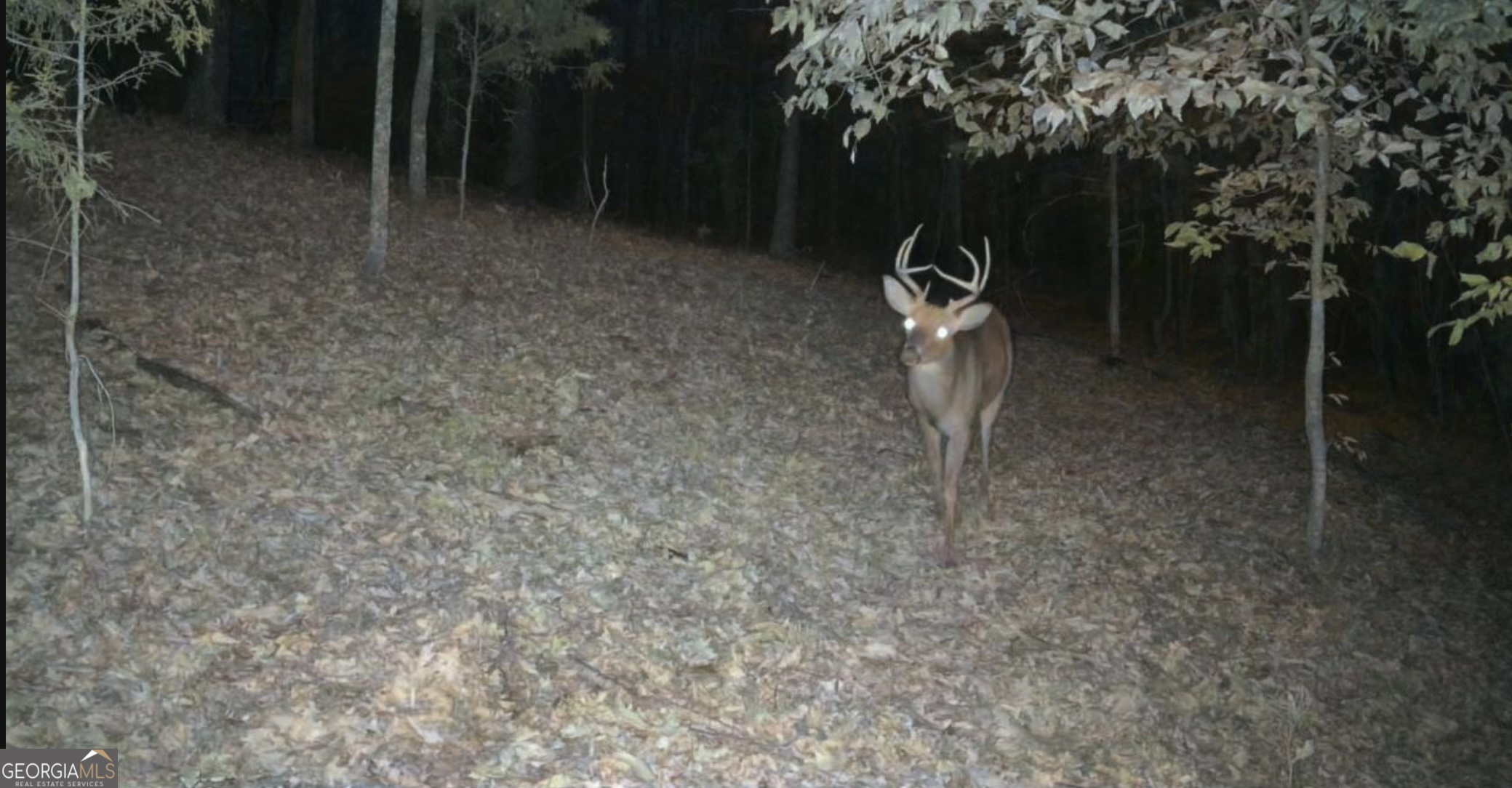 Lot 5 Mill Street Elberton GA 30635