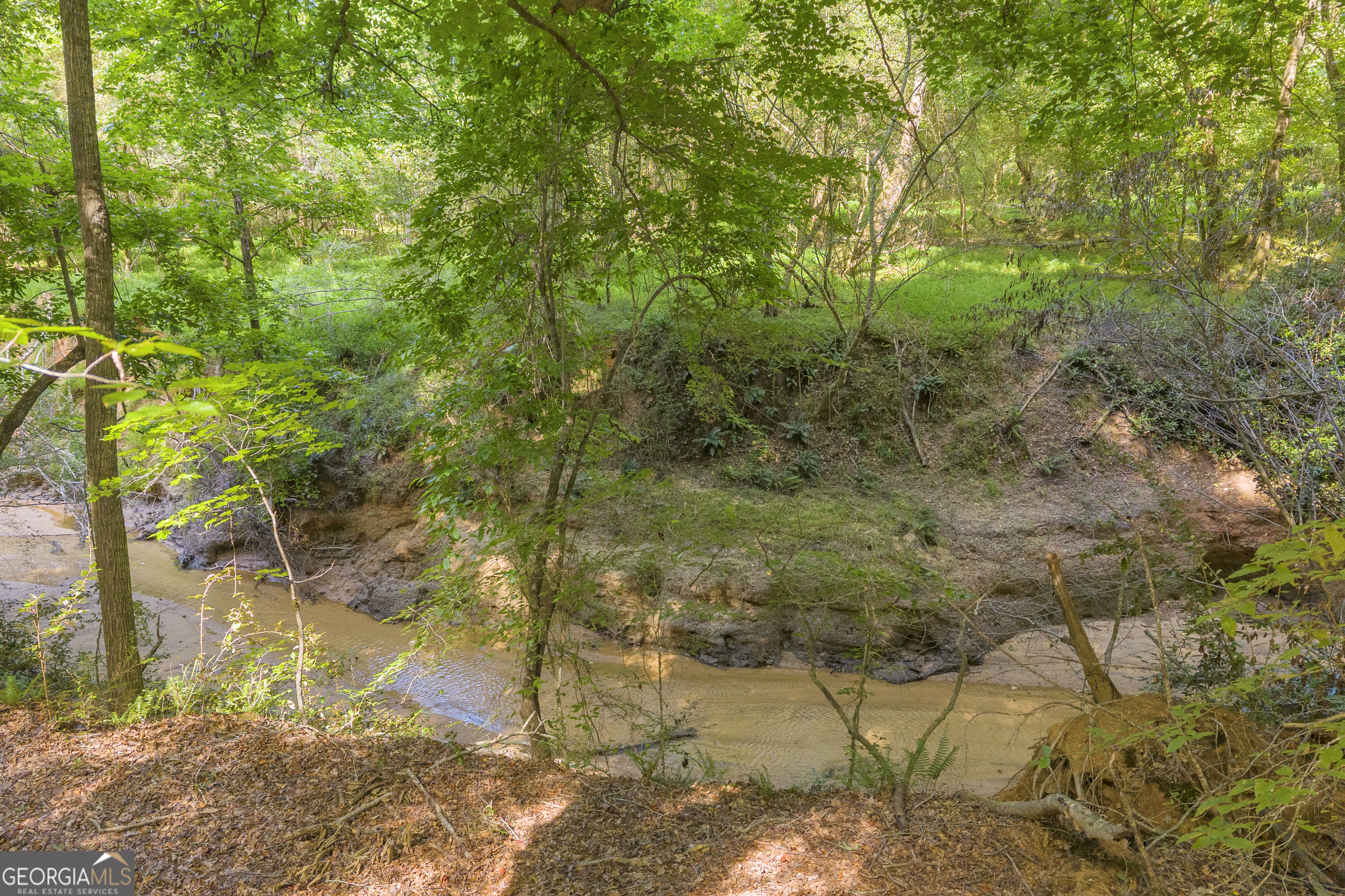 Lot 5 Mill Street Elberton GA 30635