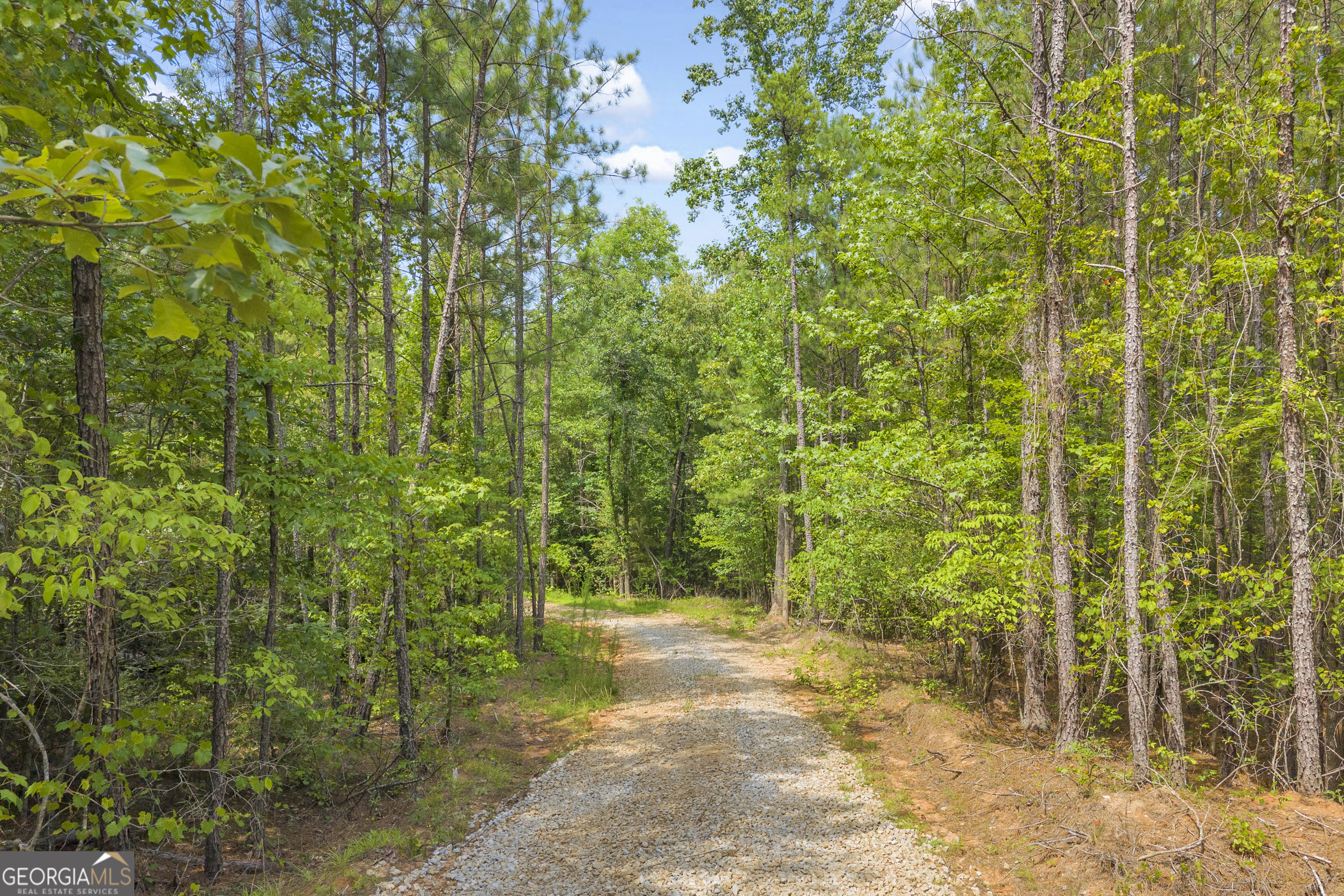 Lot 5 Mill Street Elberton GA 30635