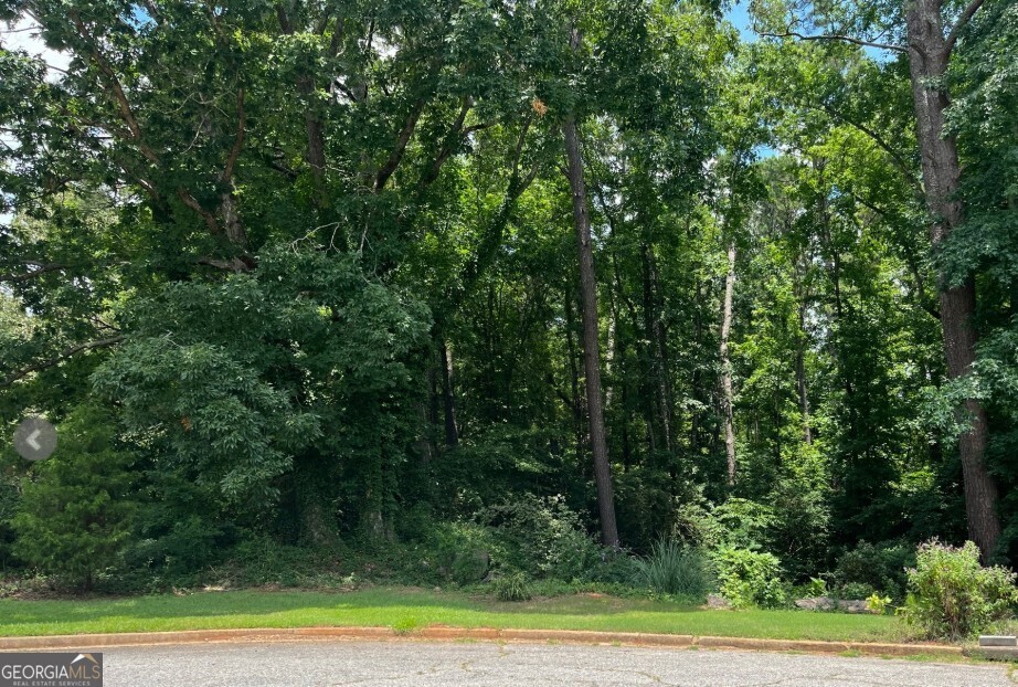 150 Kylemore Pass Tyrone GA 30290