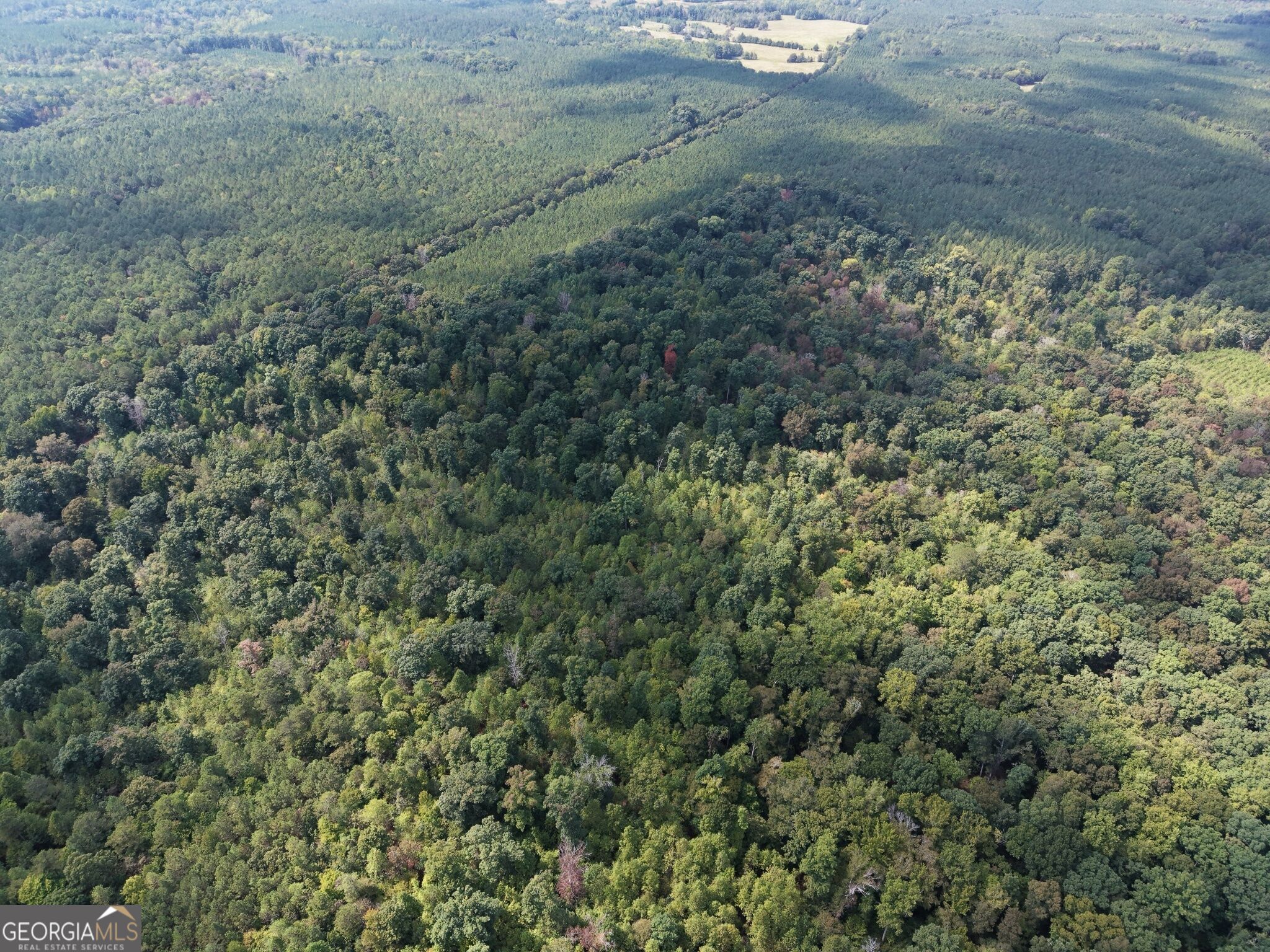 11 Bunch Road Tignall GA 30668