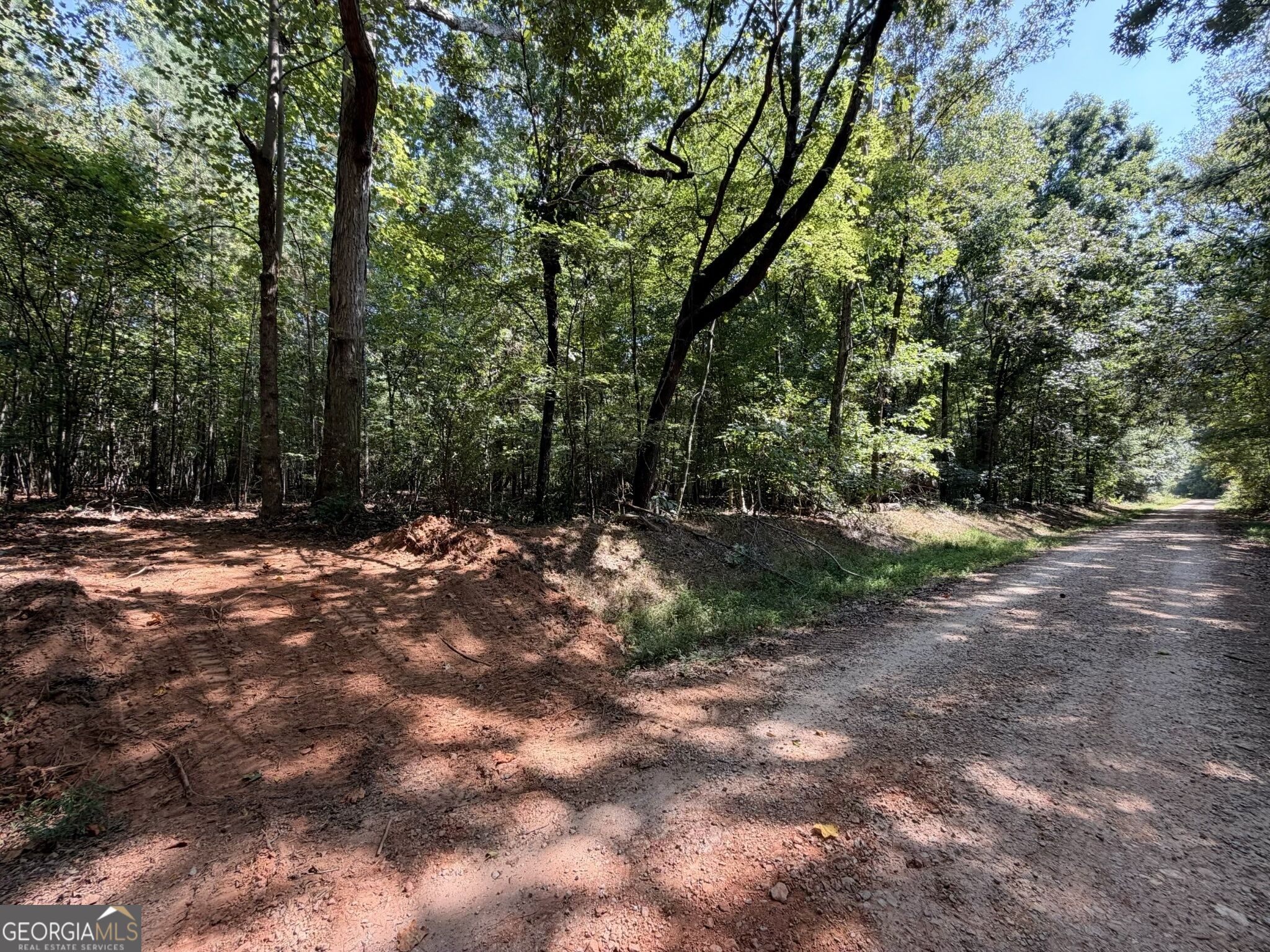 11 Bunch Road Tignall GA 30668