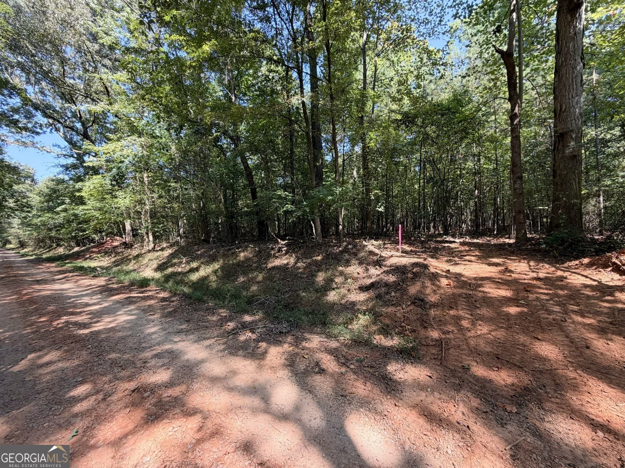 11 Bunch Road Tignall GA 30668
