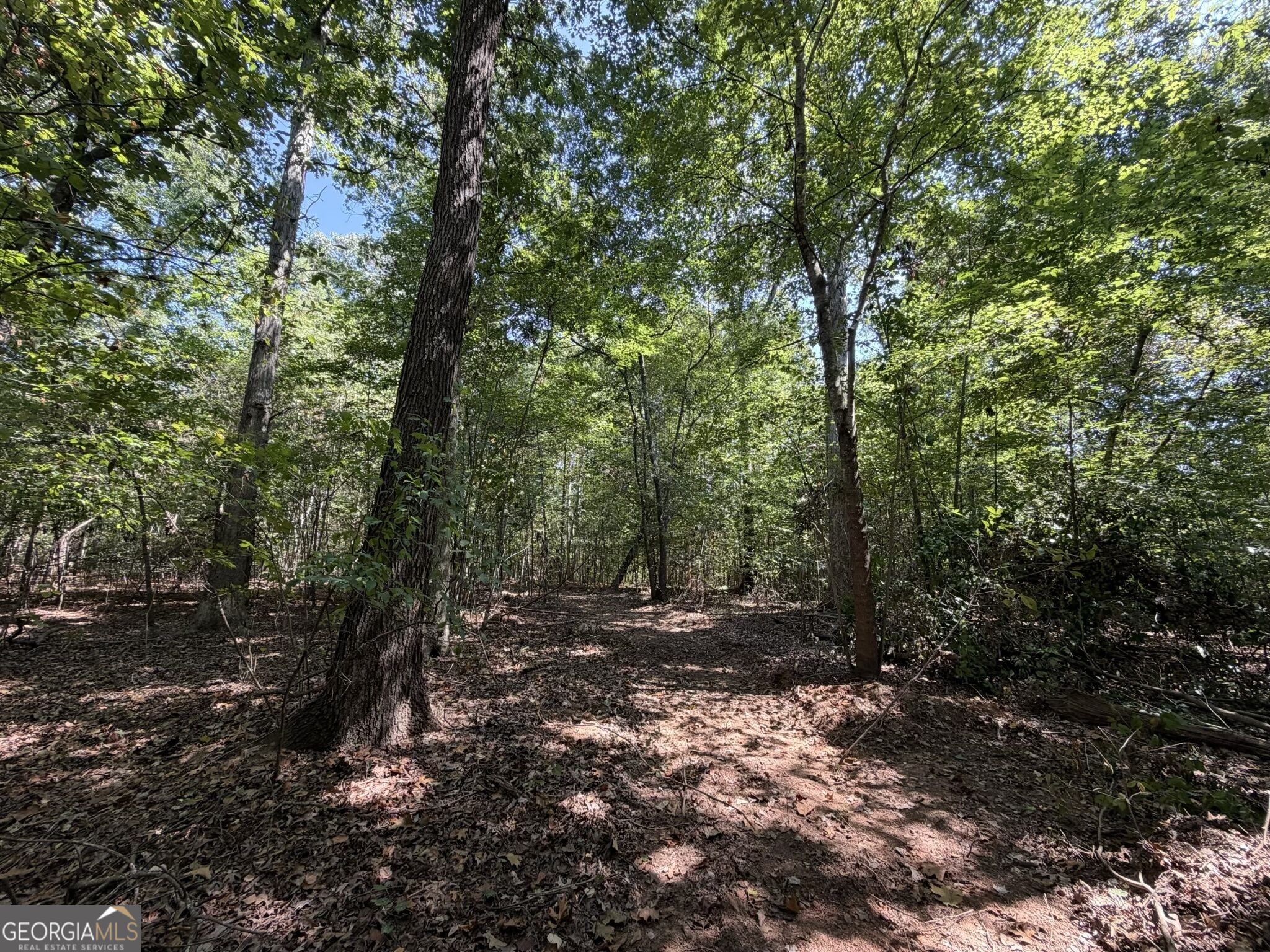 11 Bunch Road Tignall GA 30668