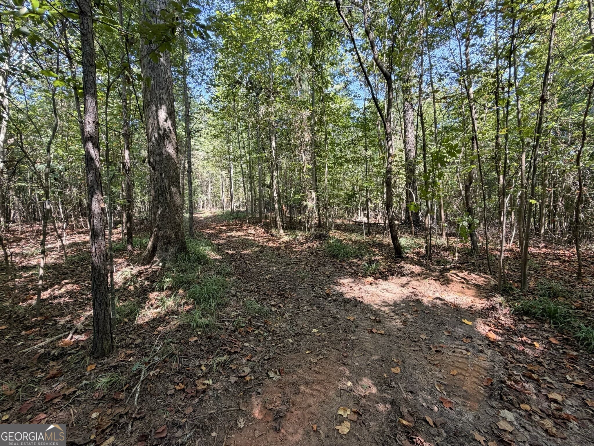 11 Bunch Road Tignall GA 30668