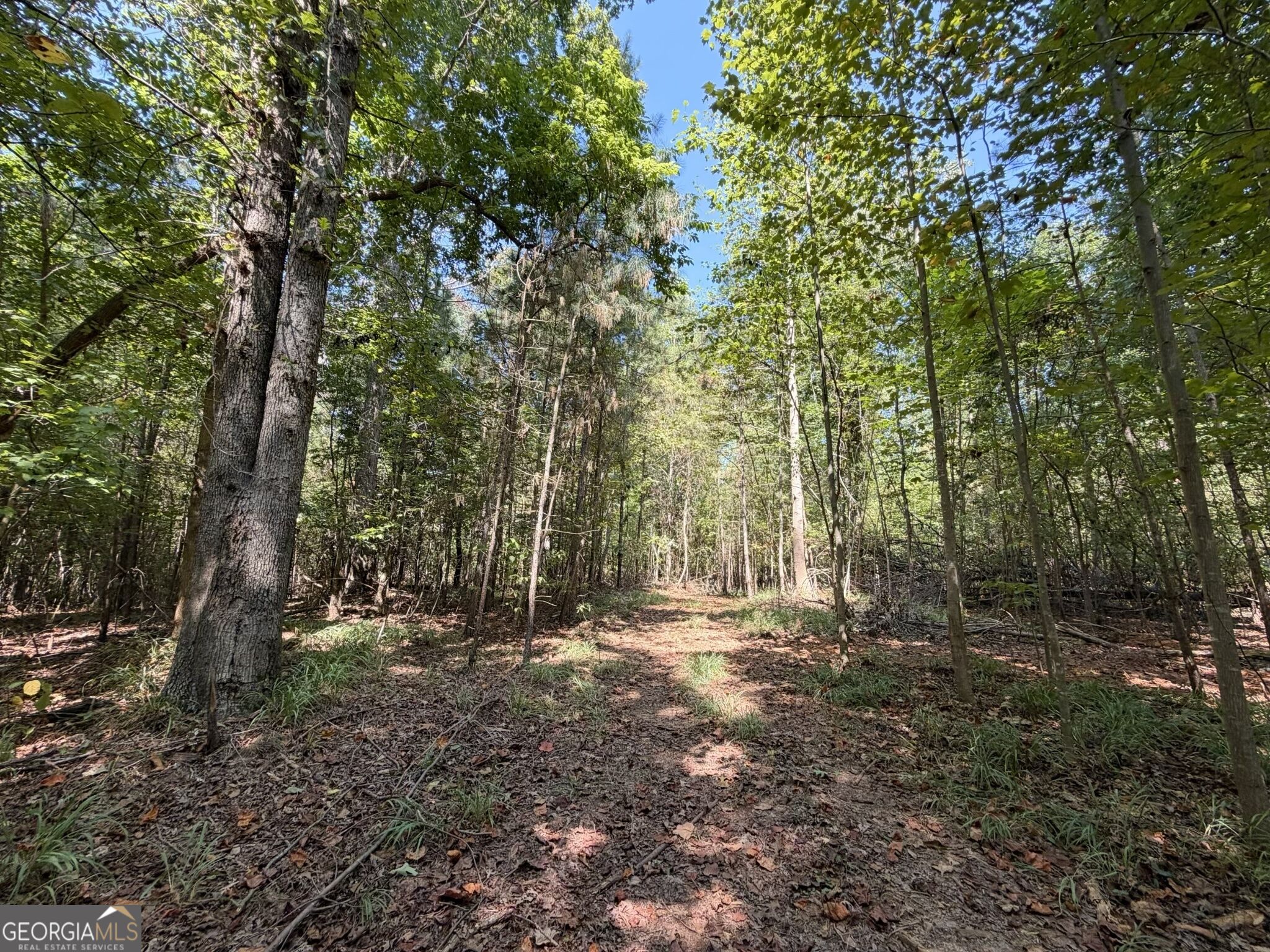 11 Bunch Road Tignall GA 30668