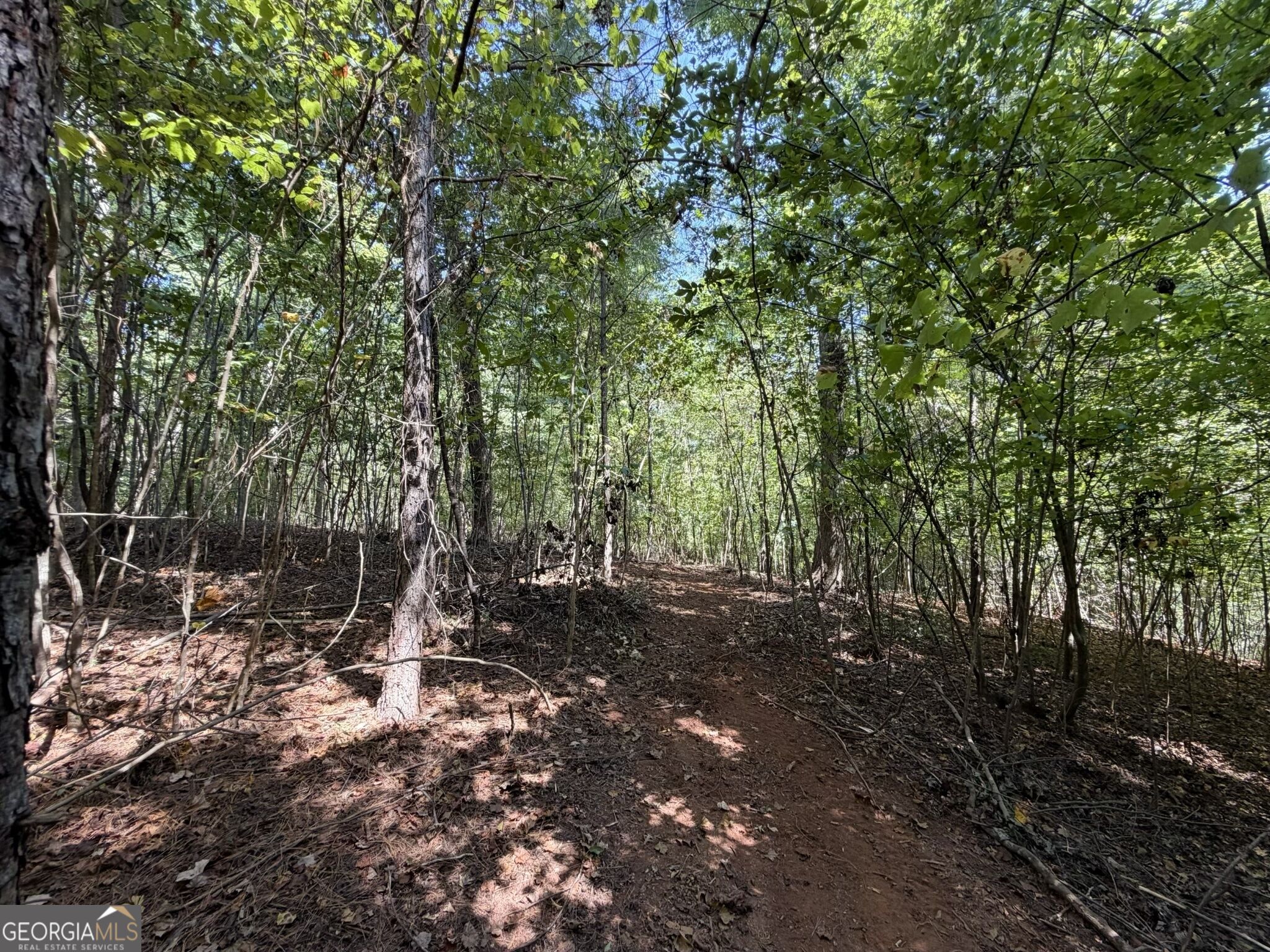 11 Bunch Road Tignall GA 30668