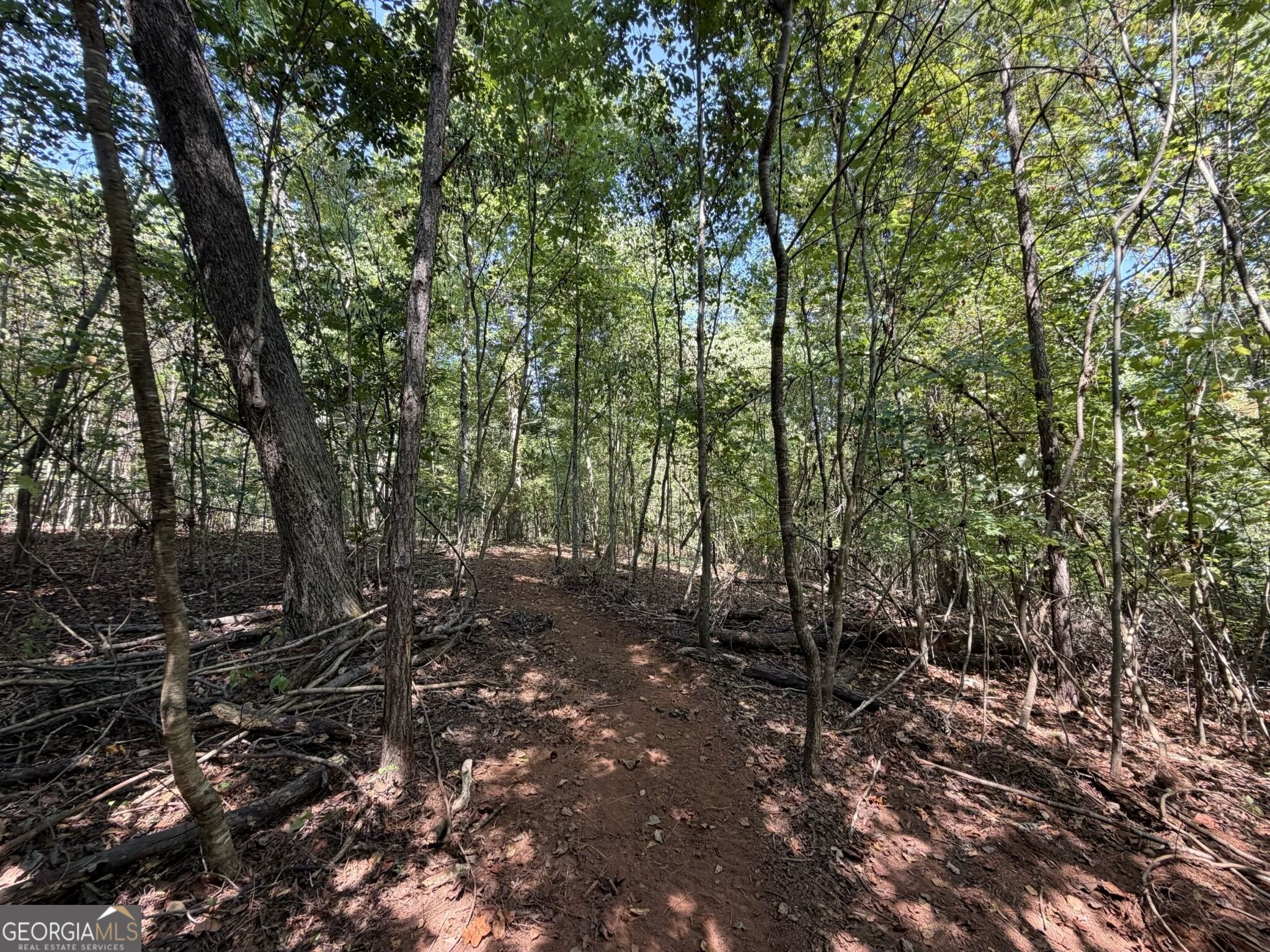 11 Bunch Road Tignall GA 30668