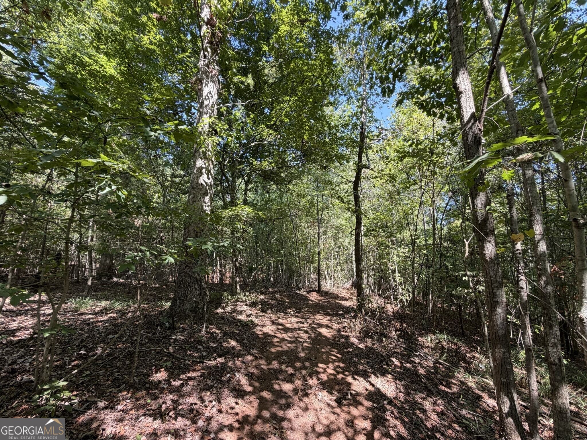 11 Bunch Road Tignall GA 30668