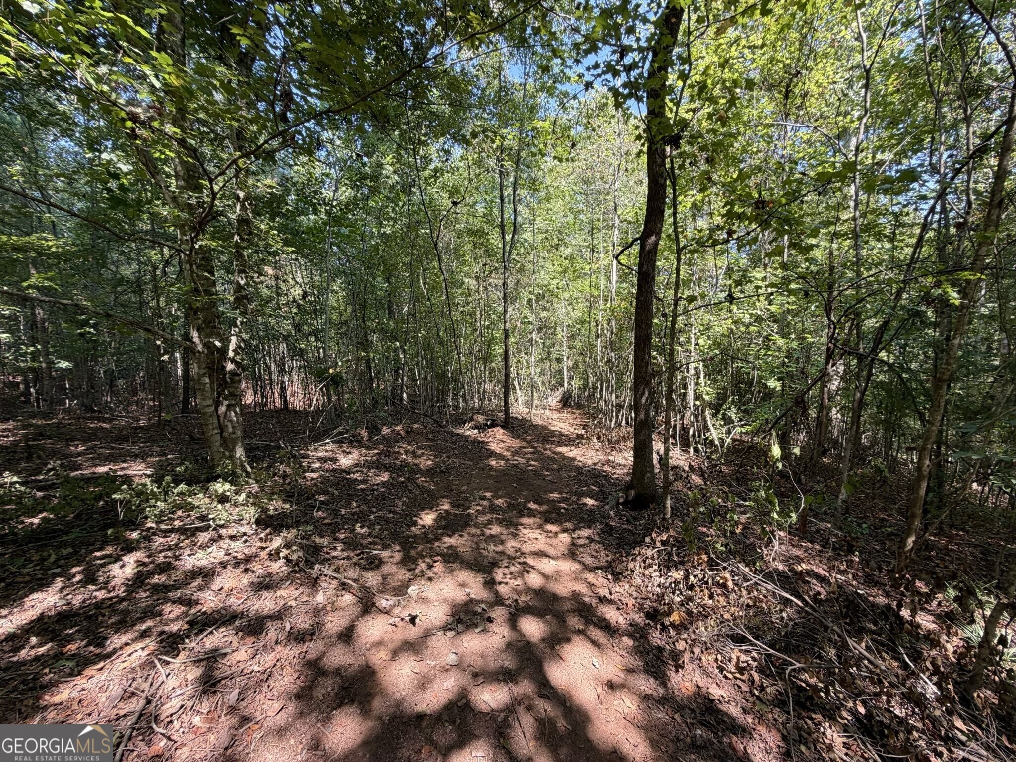 11 Bunch Road Tignall GA 30668