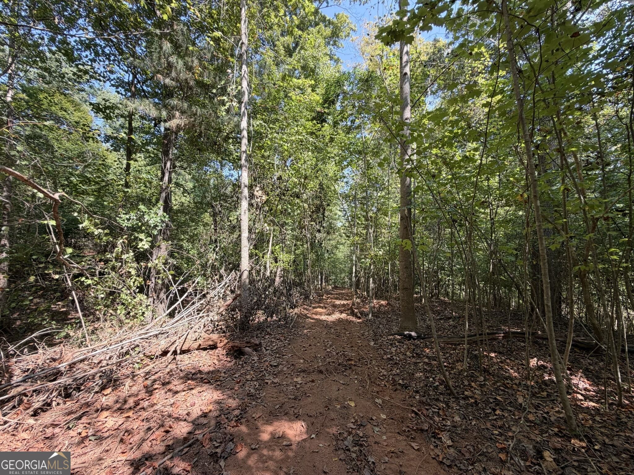11 Bunch Road Tignall GA 30668