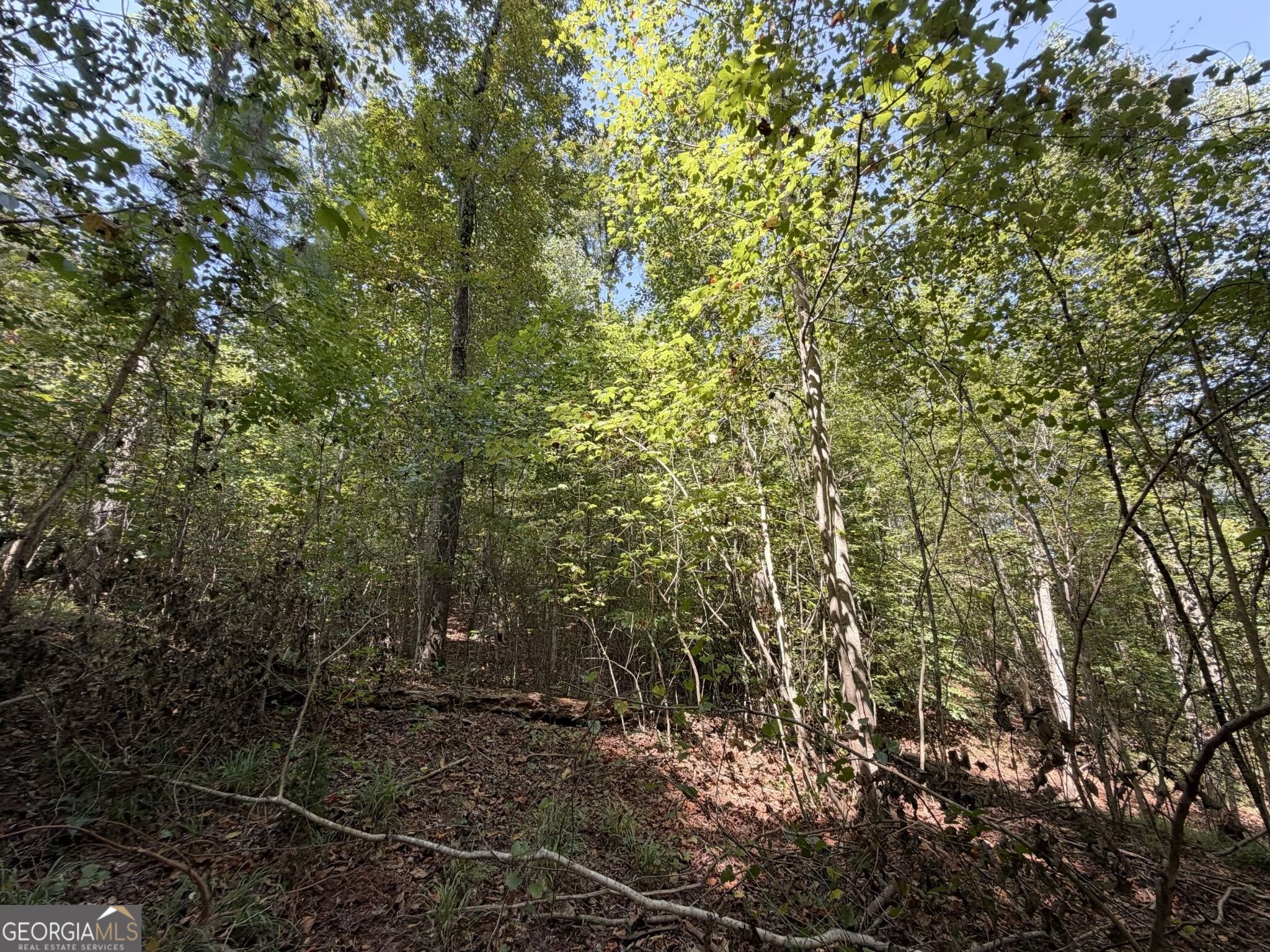11 Bunch Road Tignall GA 30668